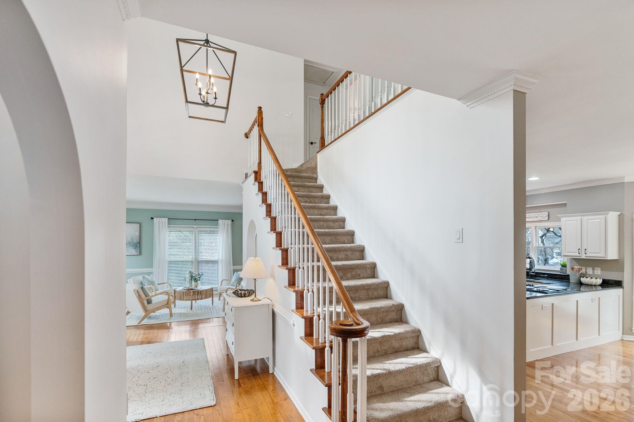 5800 Paper Whites Place