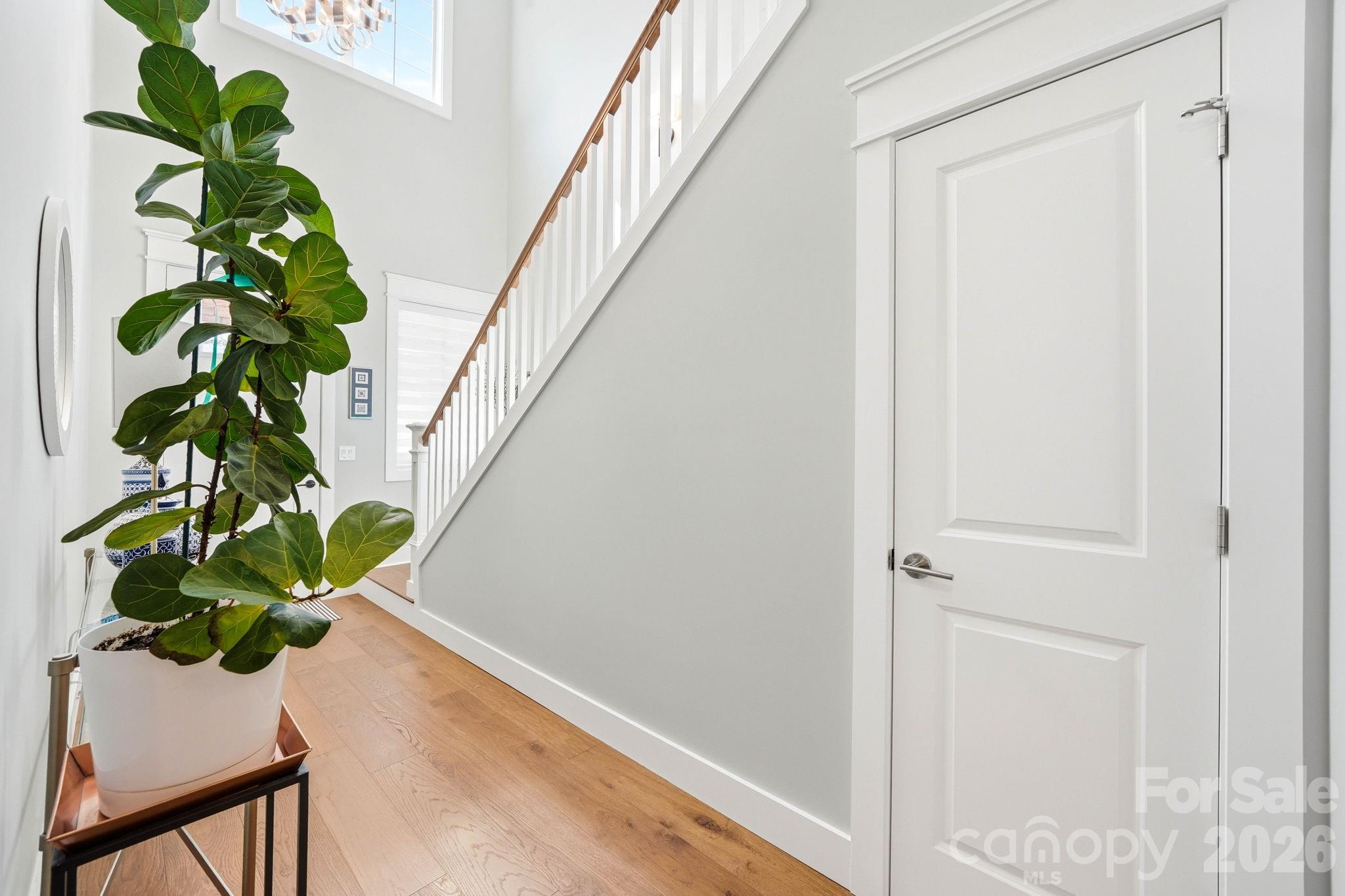 538 Sweet Birch Park Lane