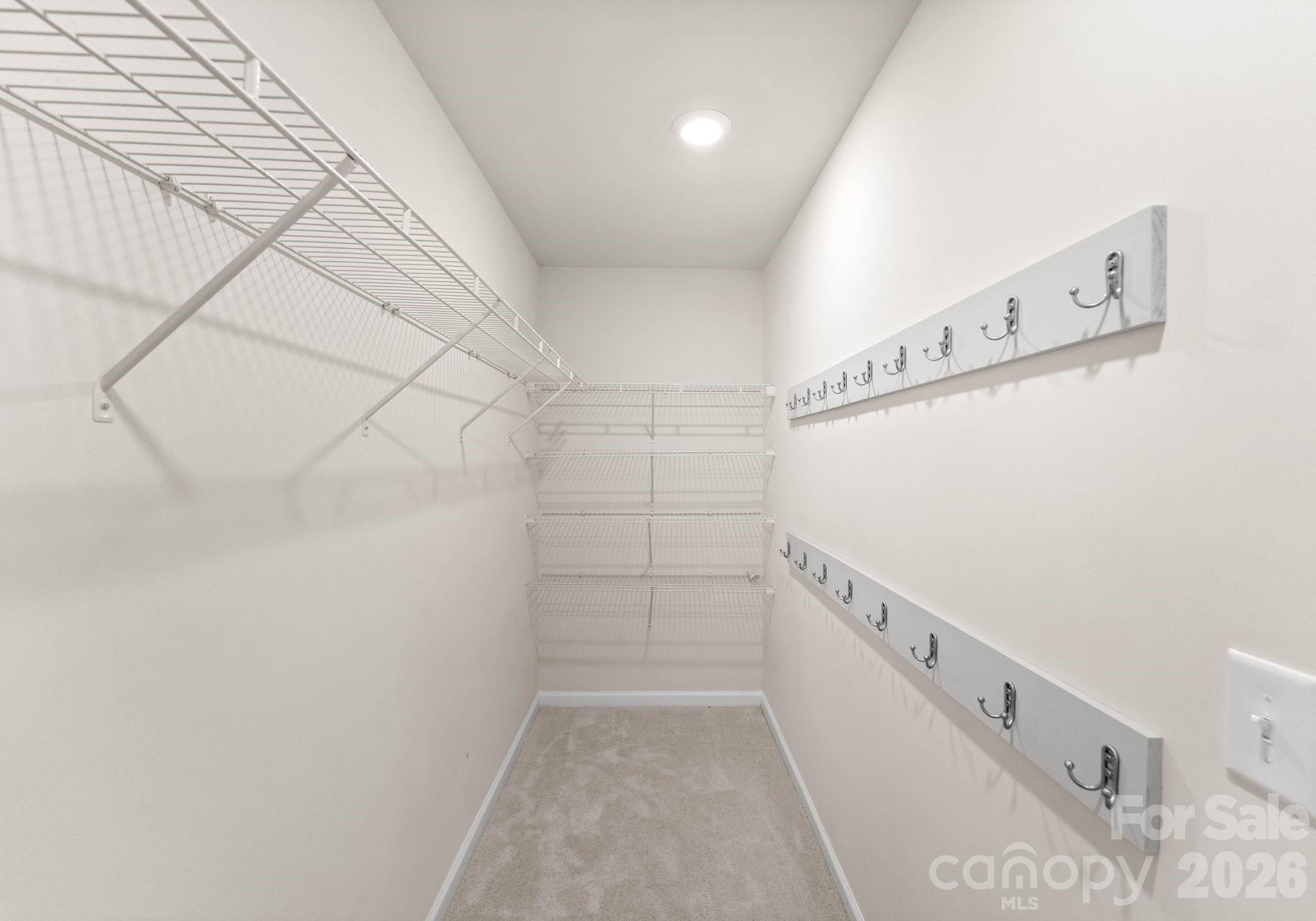 19722 Elise Caroline Alley