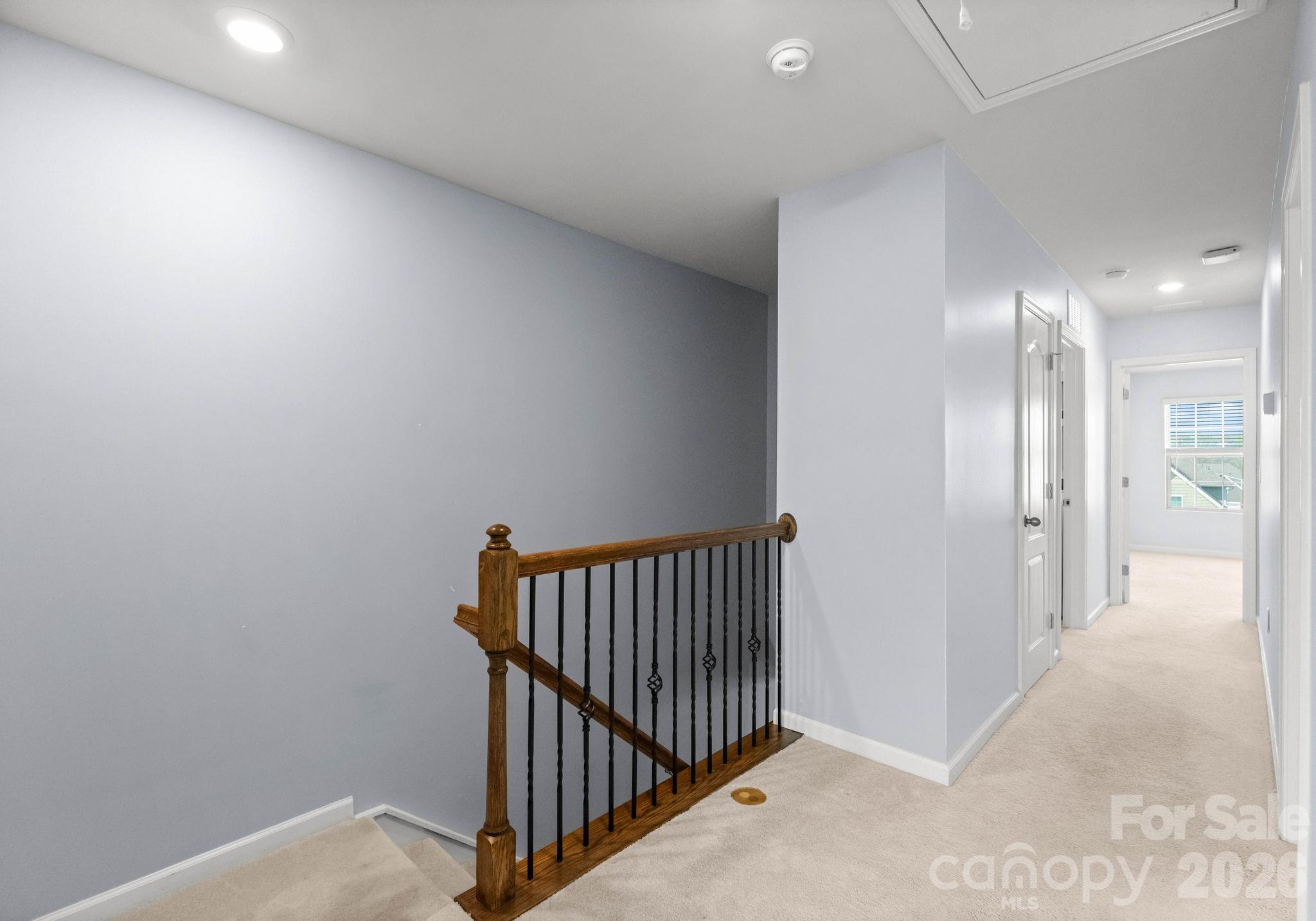 19722 Elise Caroline Alley