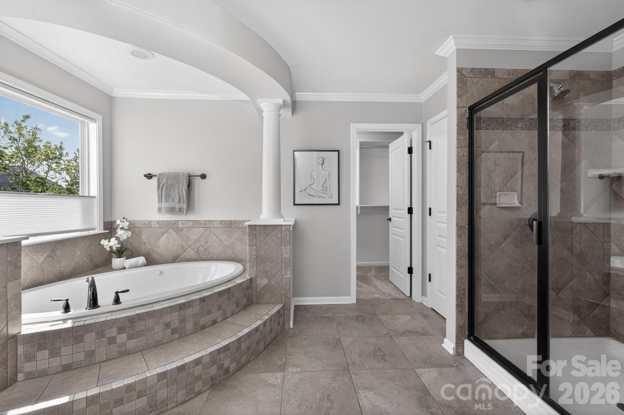 18502 Clavemorr Castle Court