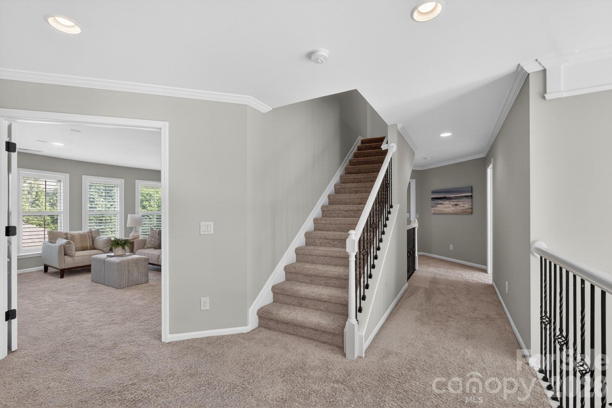 18502 Clavemorr Castle Court