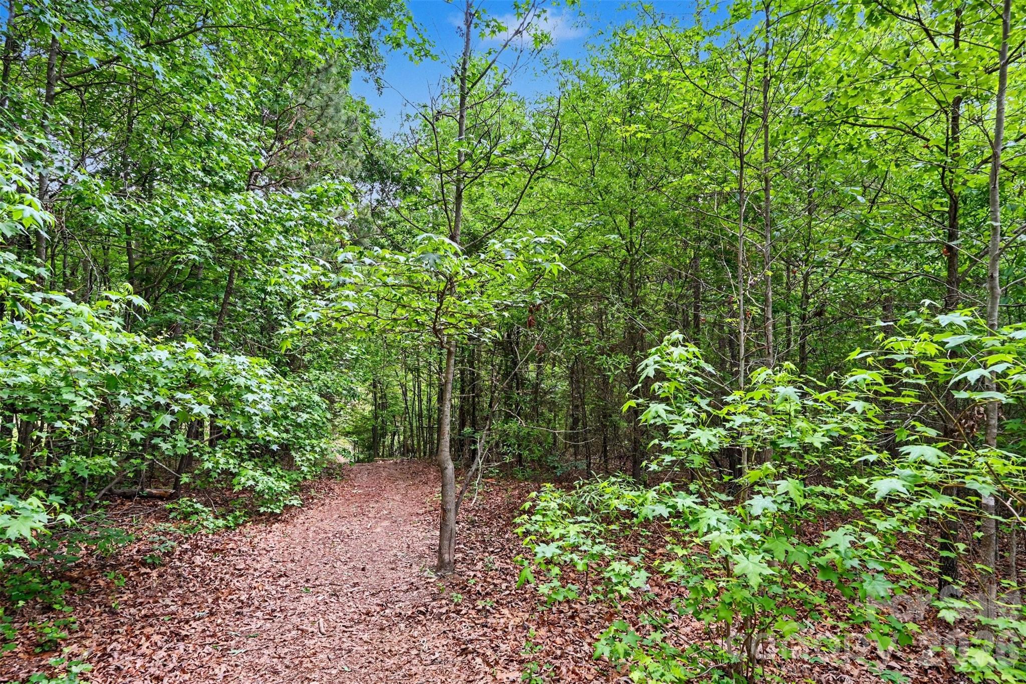 20146 Bantam Road