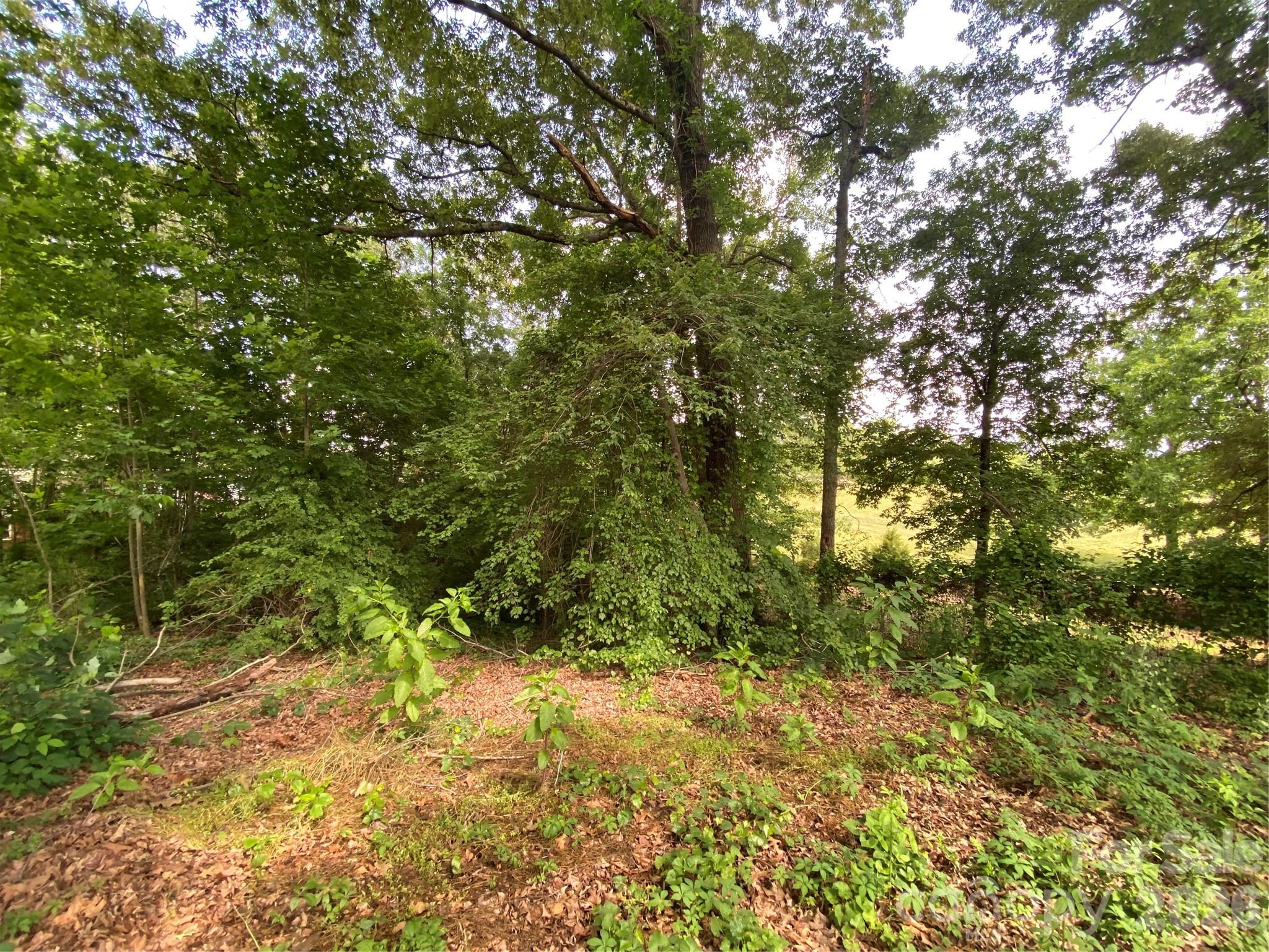 2061 COLONIAL Lane Unit: 17/E
