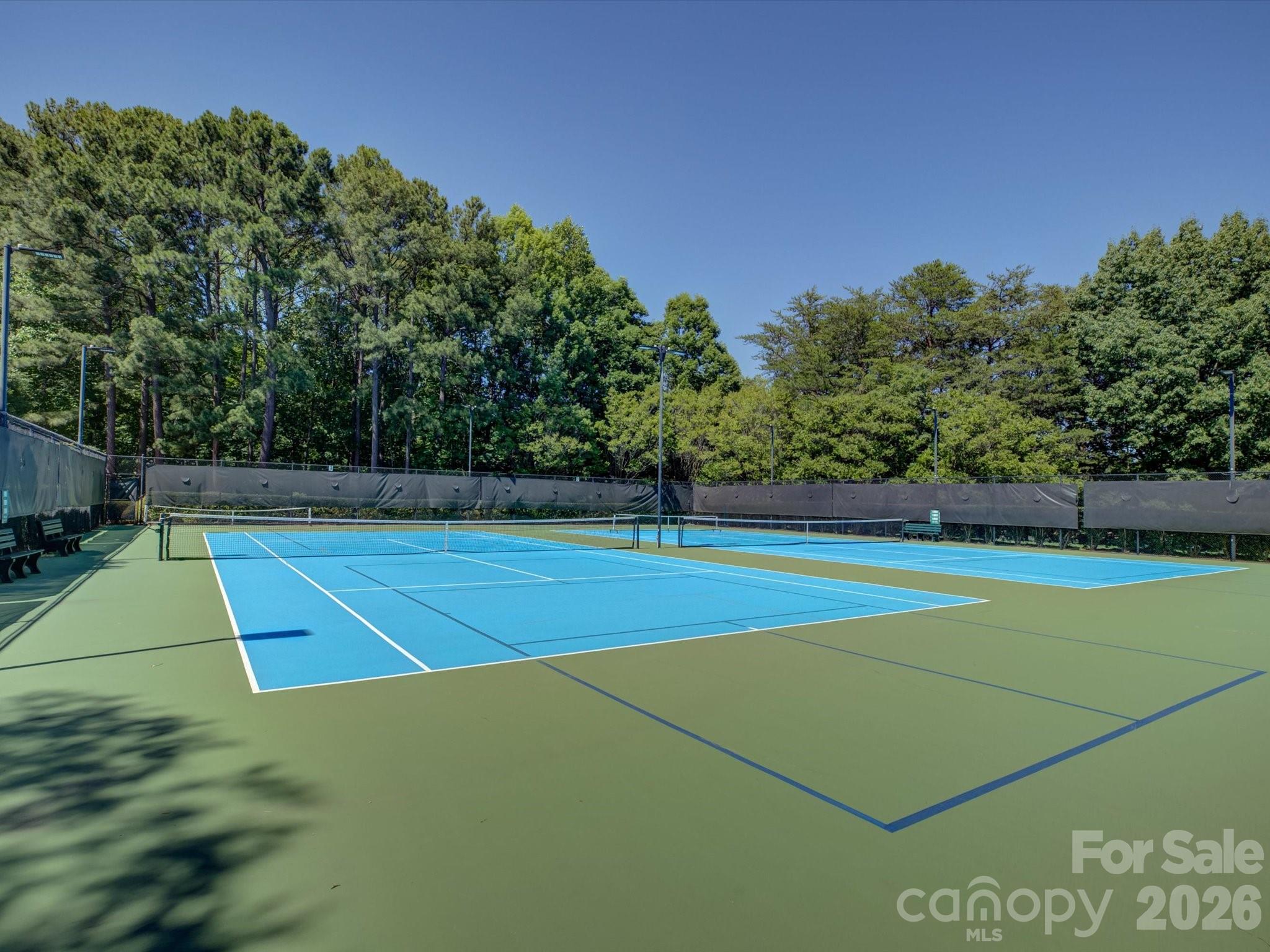 3912 Lake Spring Cove Court
