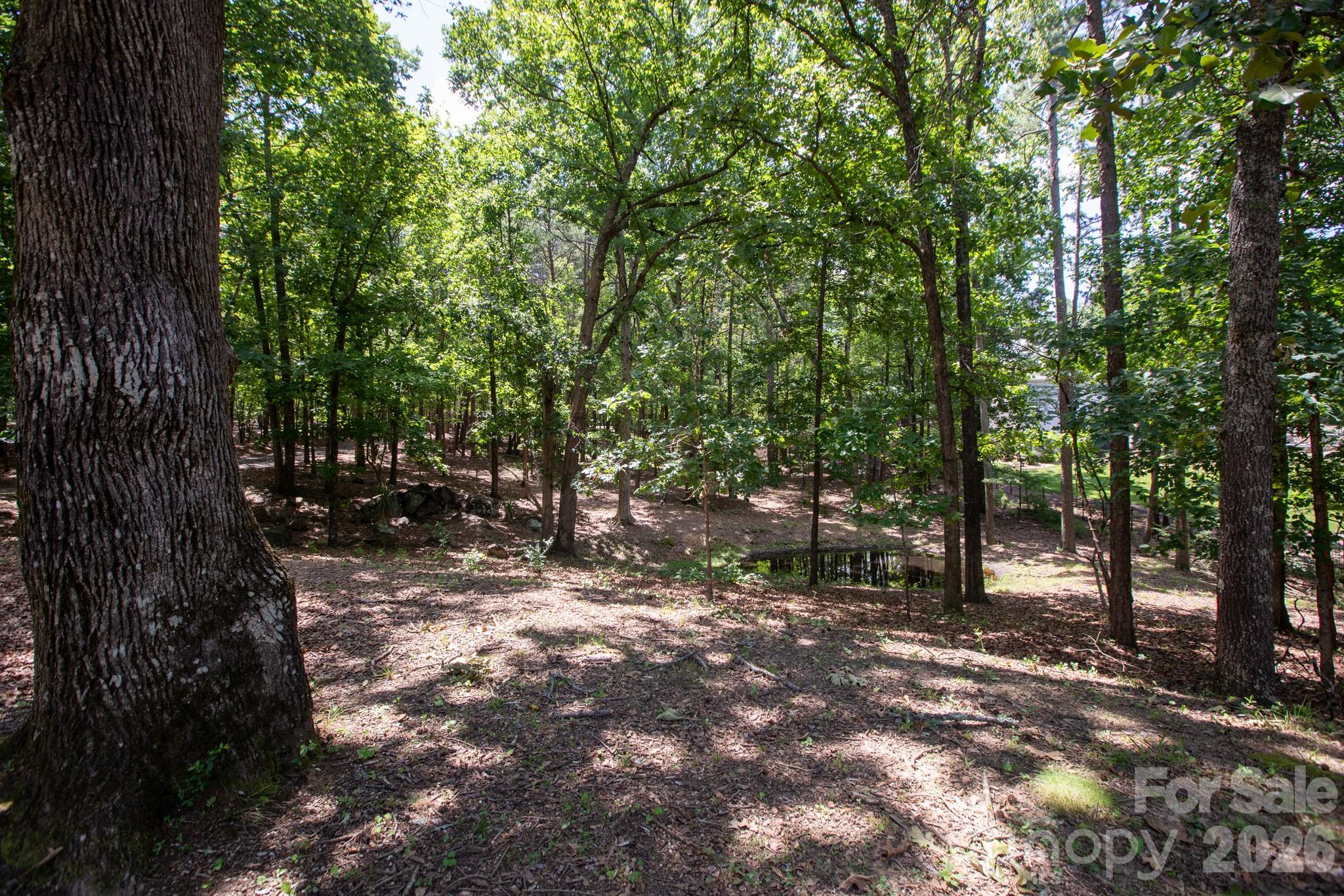 15224 Thomas Road