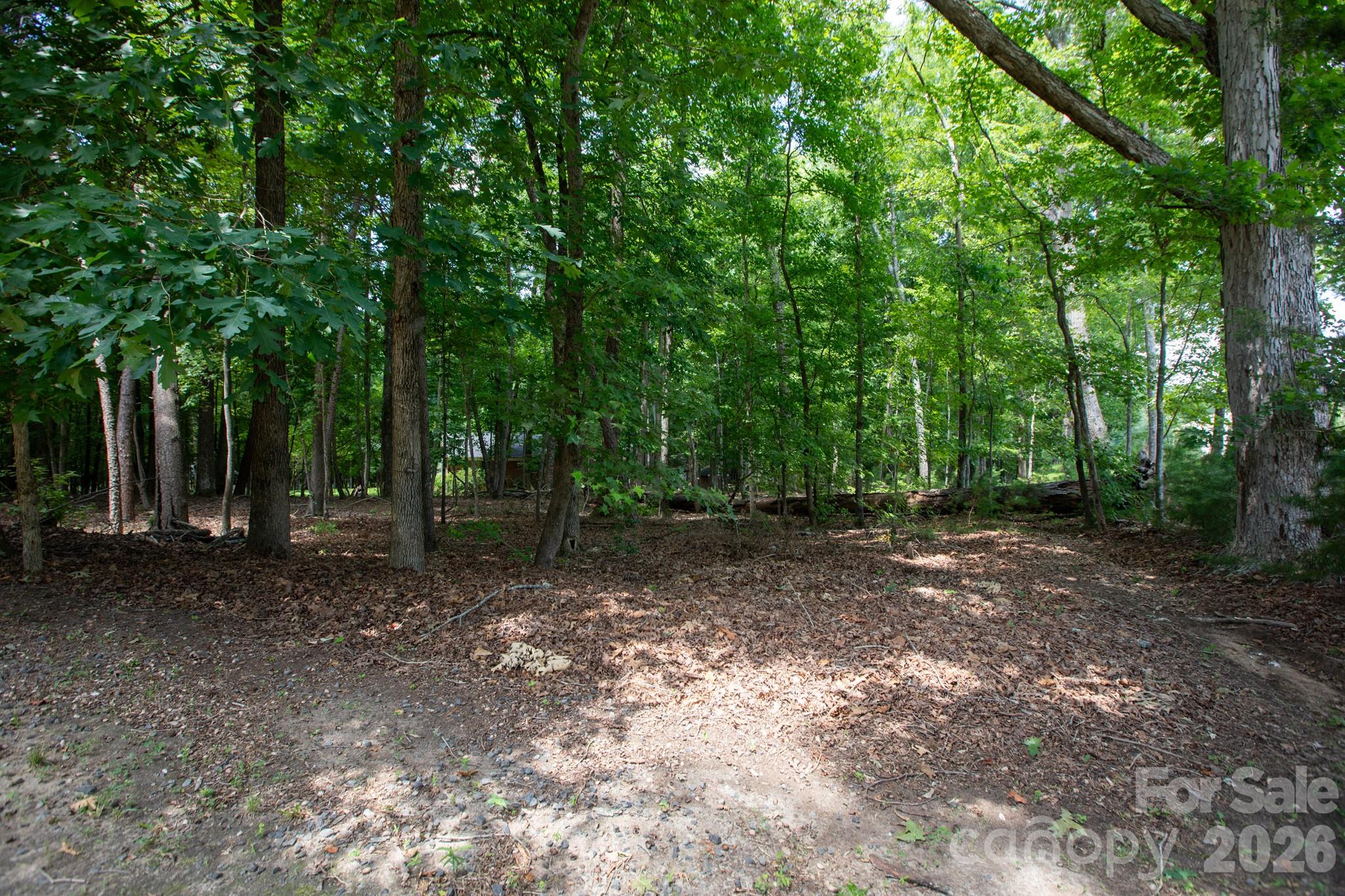 15224 Thomas Road