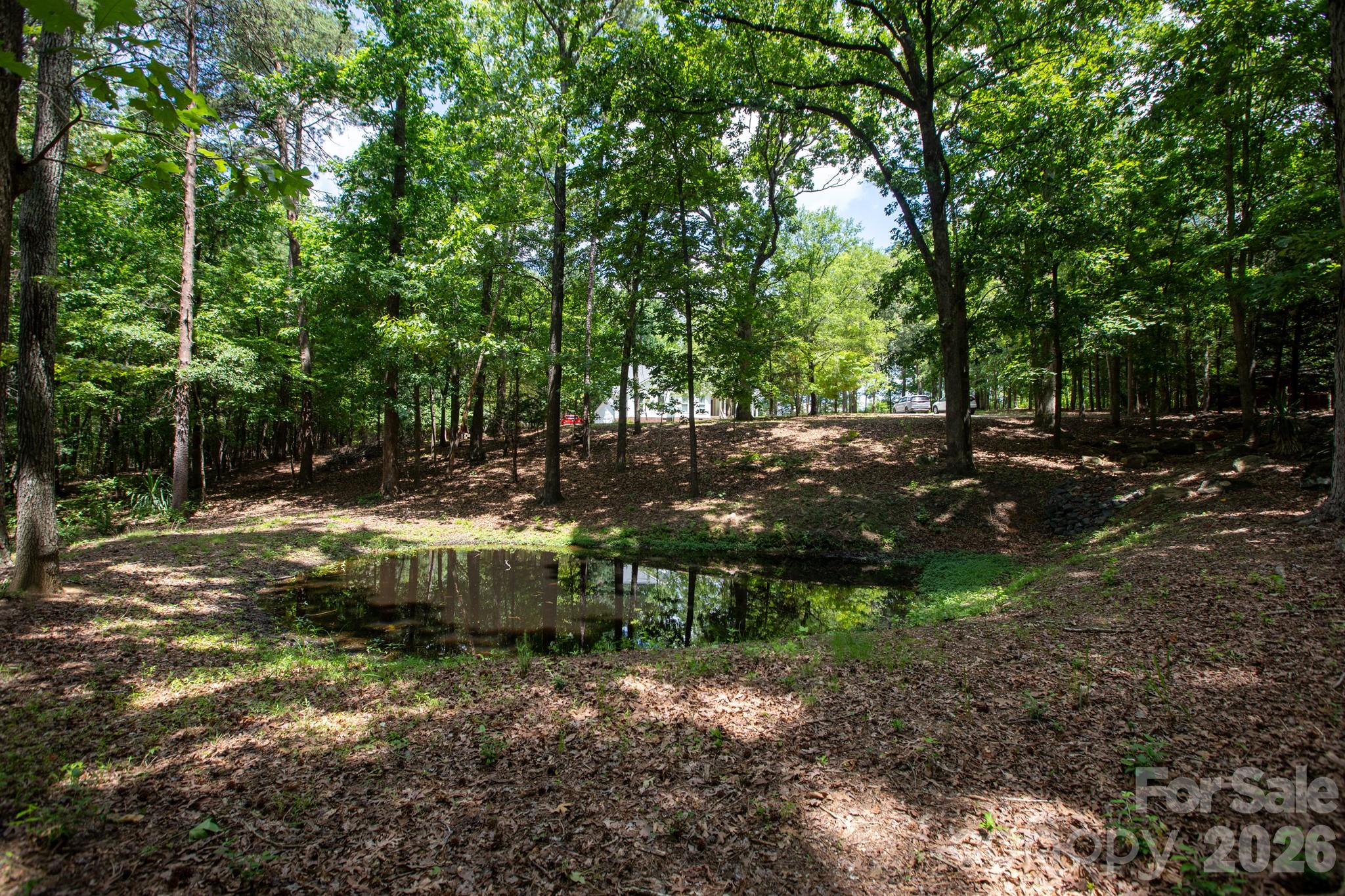 15224 Thomas Road