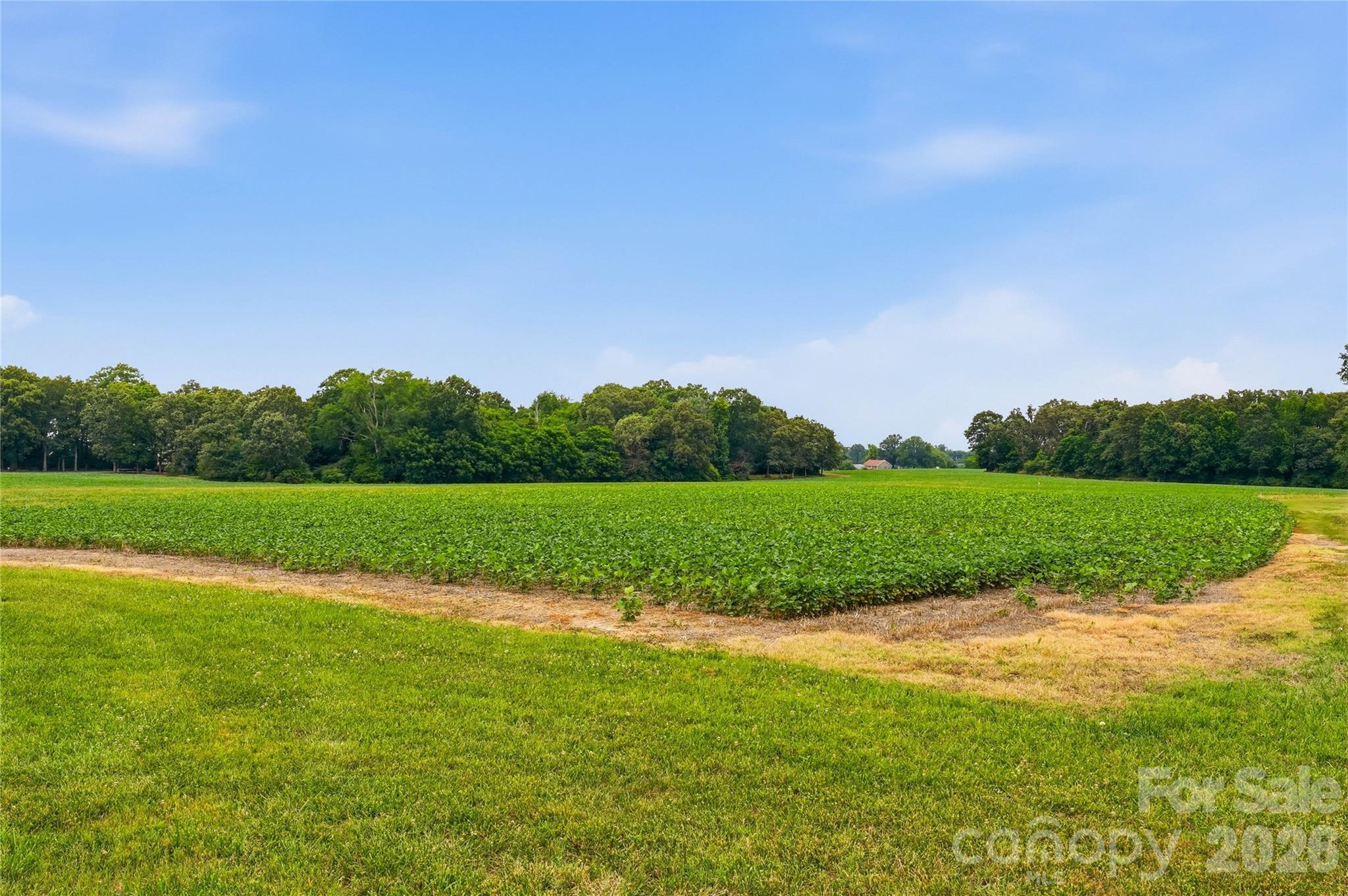 1421 Old Highway 74