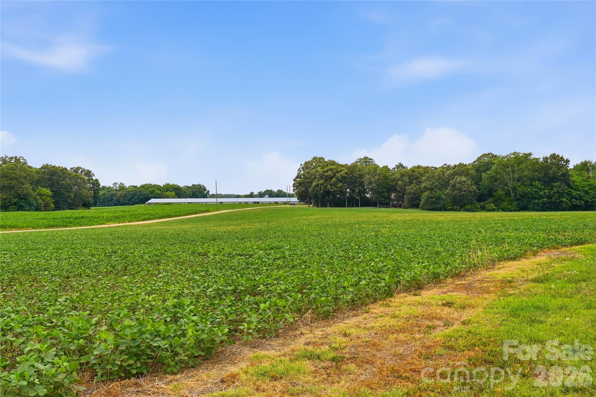 1421 Old Highway 74