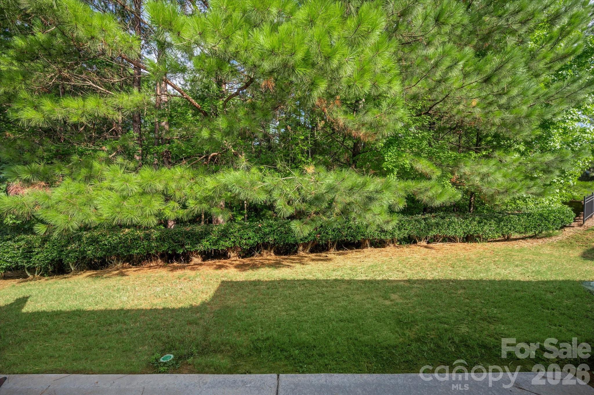 35168 Carnation Lane