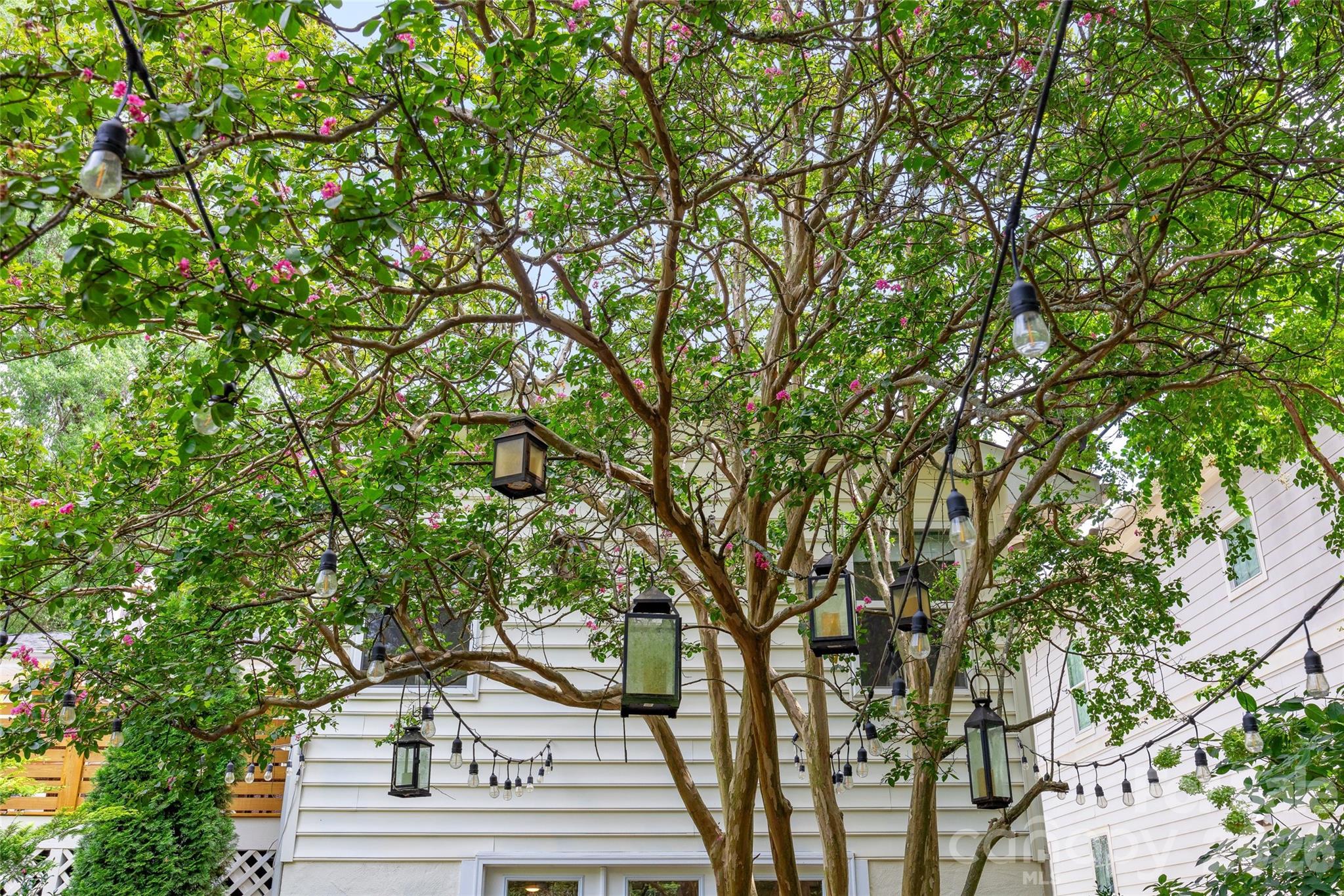 2215 Chatham Avenue