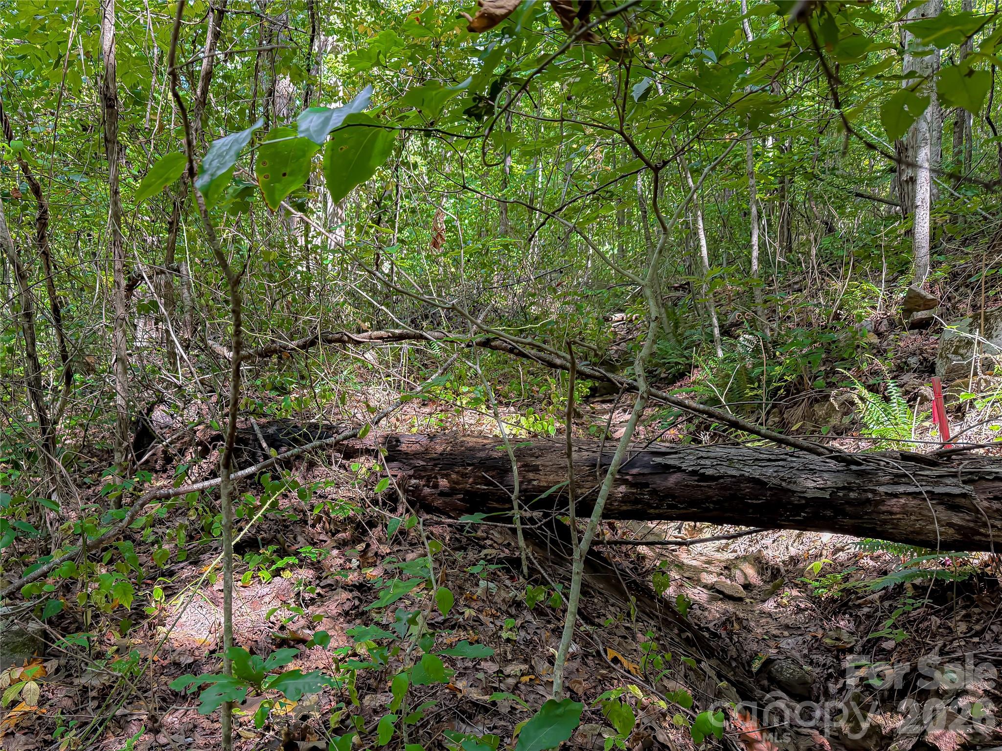 99999 High Top Mountain Road Unit: Lot 2