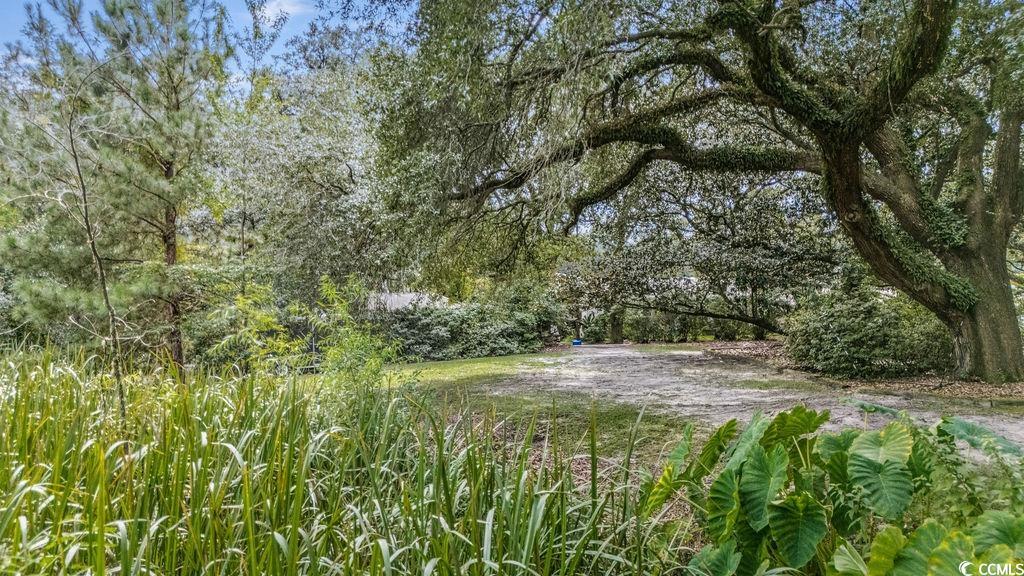 910 Willowbank Rd.