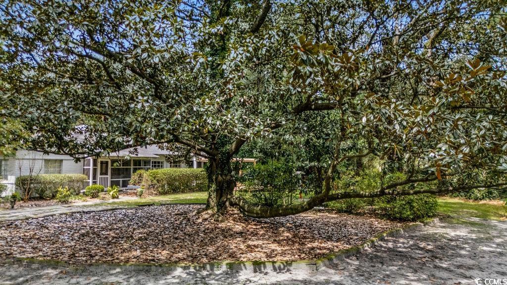910 Willowbank Rd.