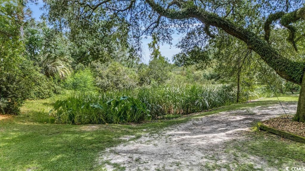 910 Willowbank Rd.