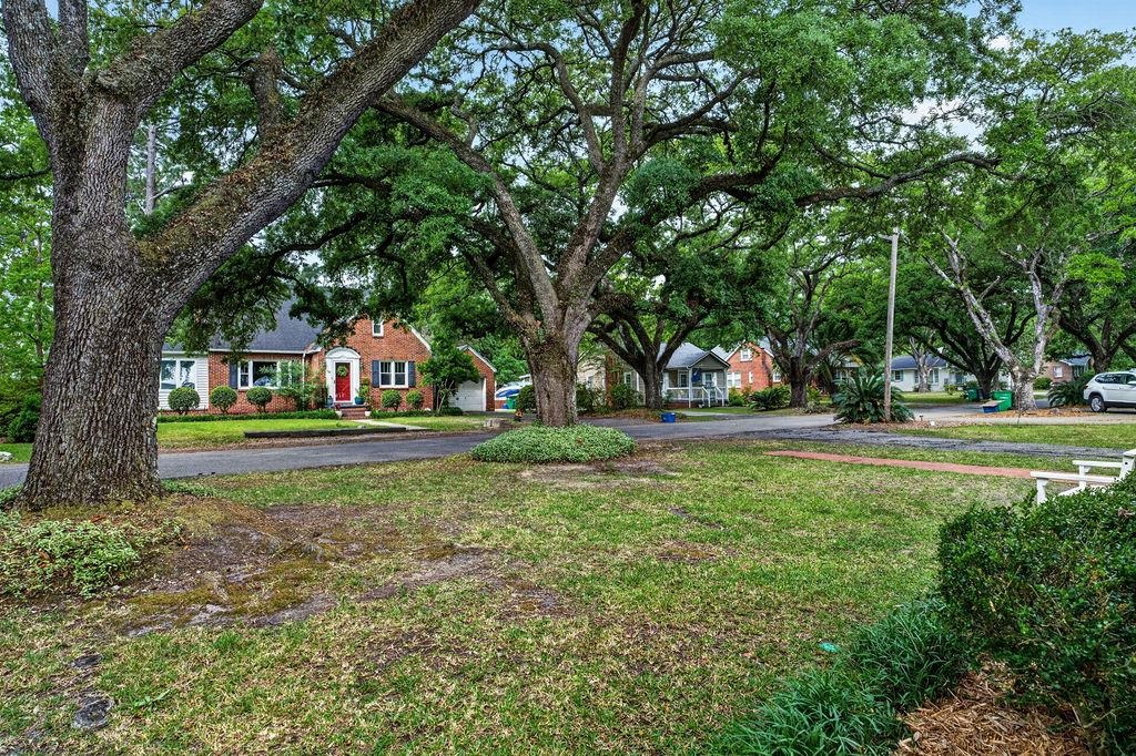 926 Palmetto St.