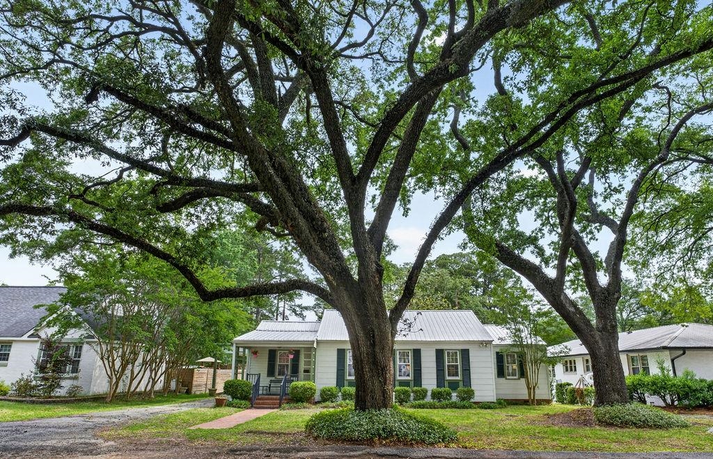 926 Palmetto St.