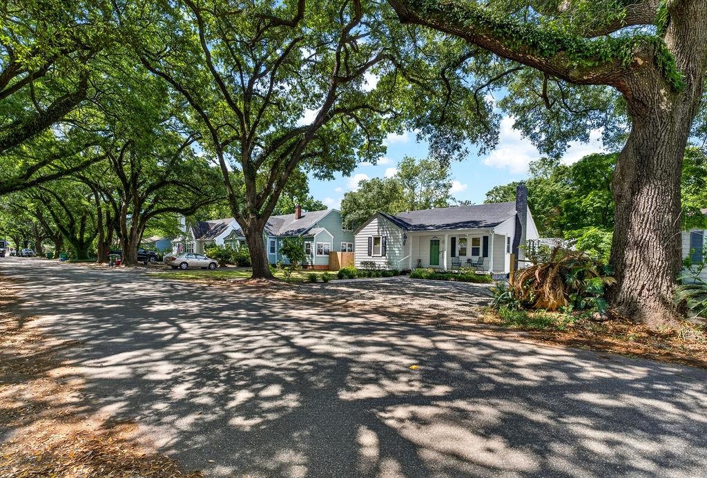1137 Palmetto St.