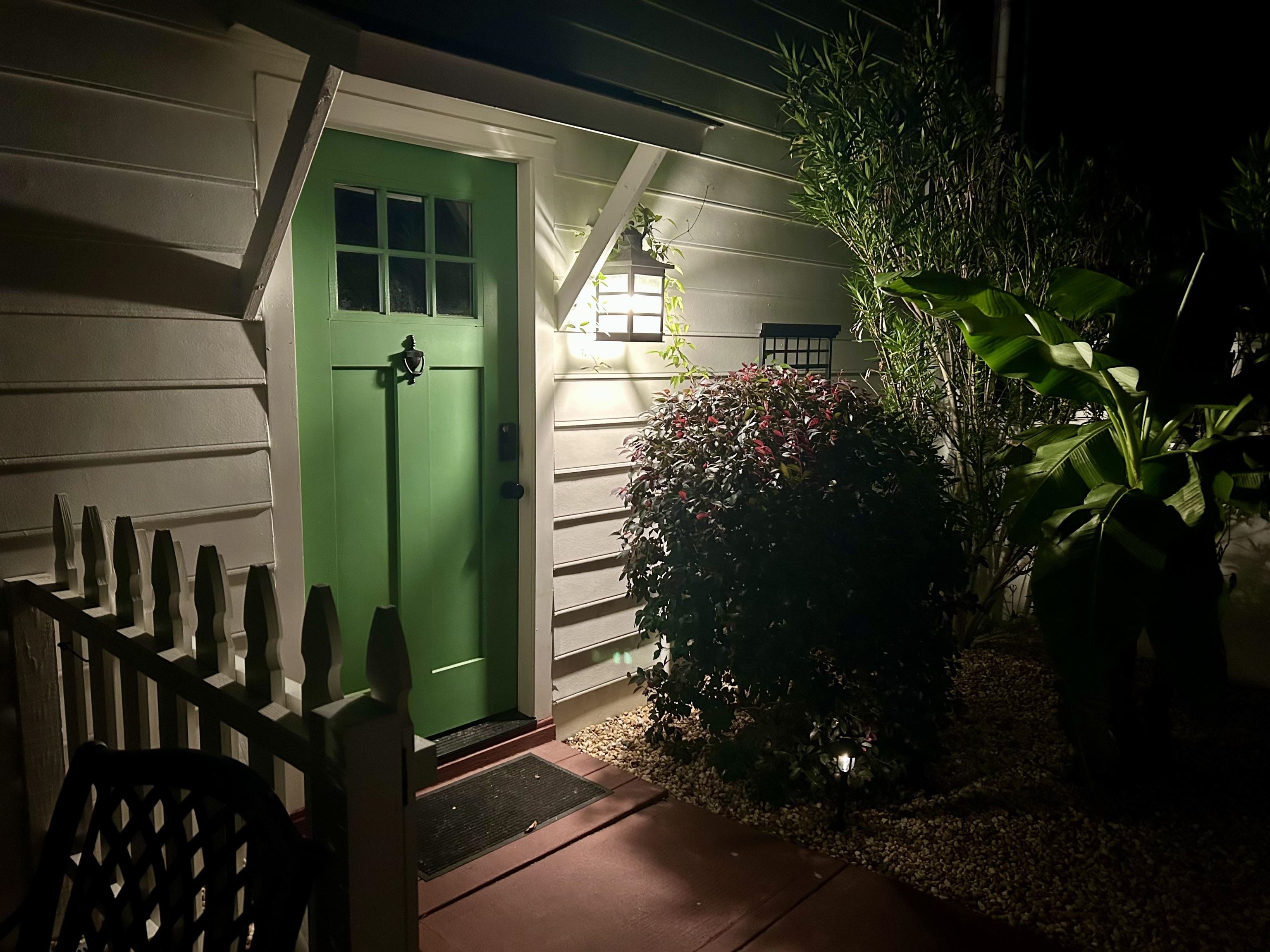 1137 Palmetto St.