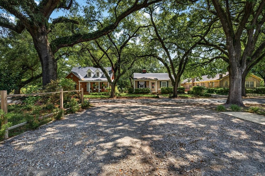 1137 Palmetto St.