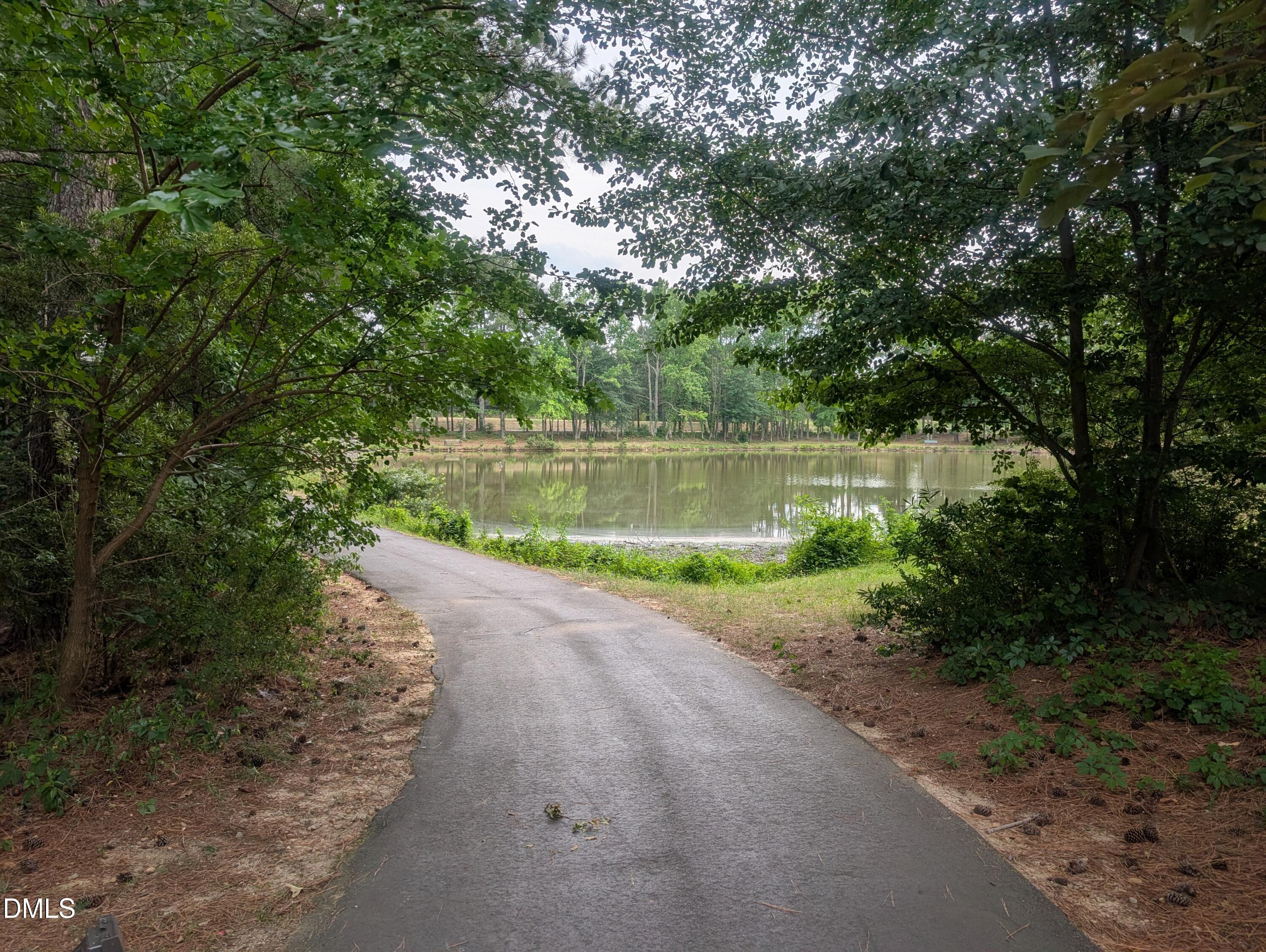 1007 Tender Drive