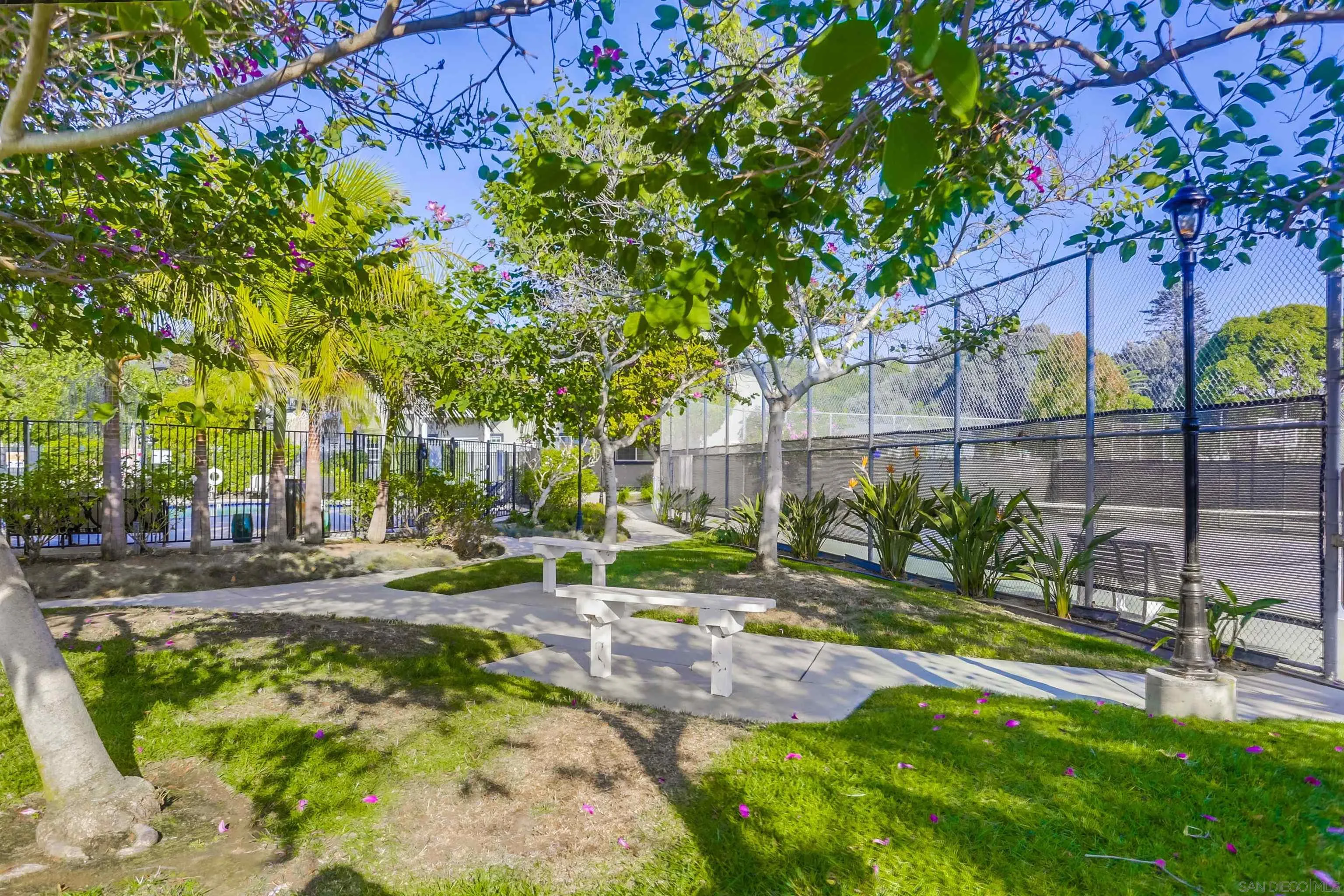 506 Canyon Drive Unit 5