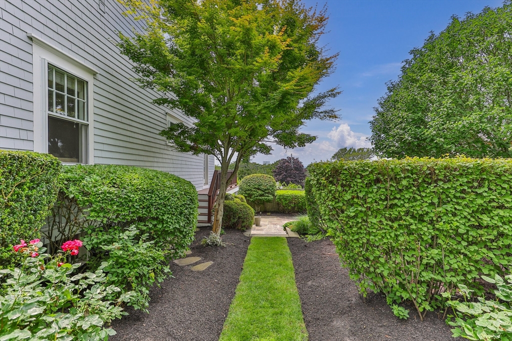 14 Brewster Street