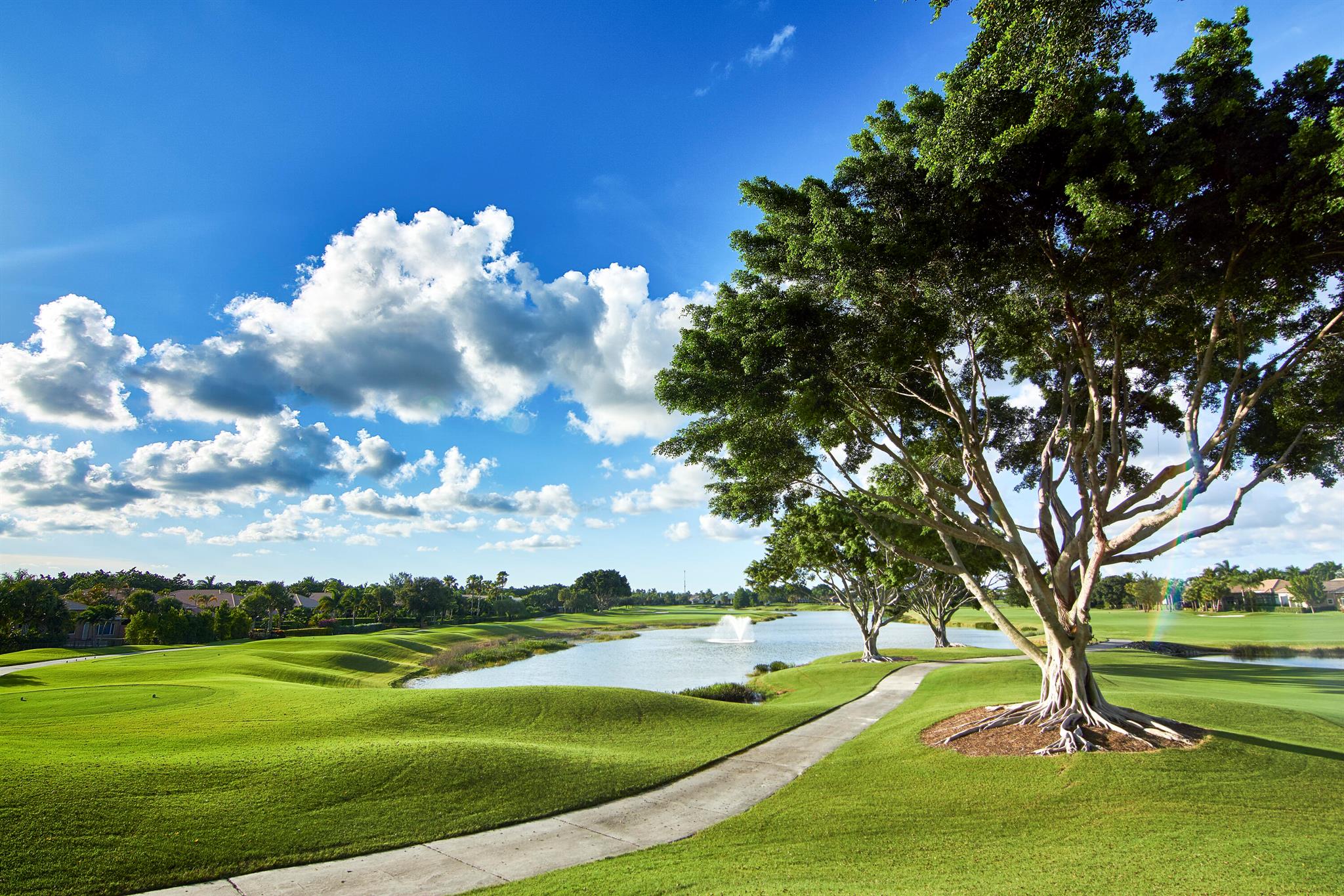 10744 Waterford Place