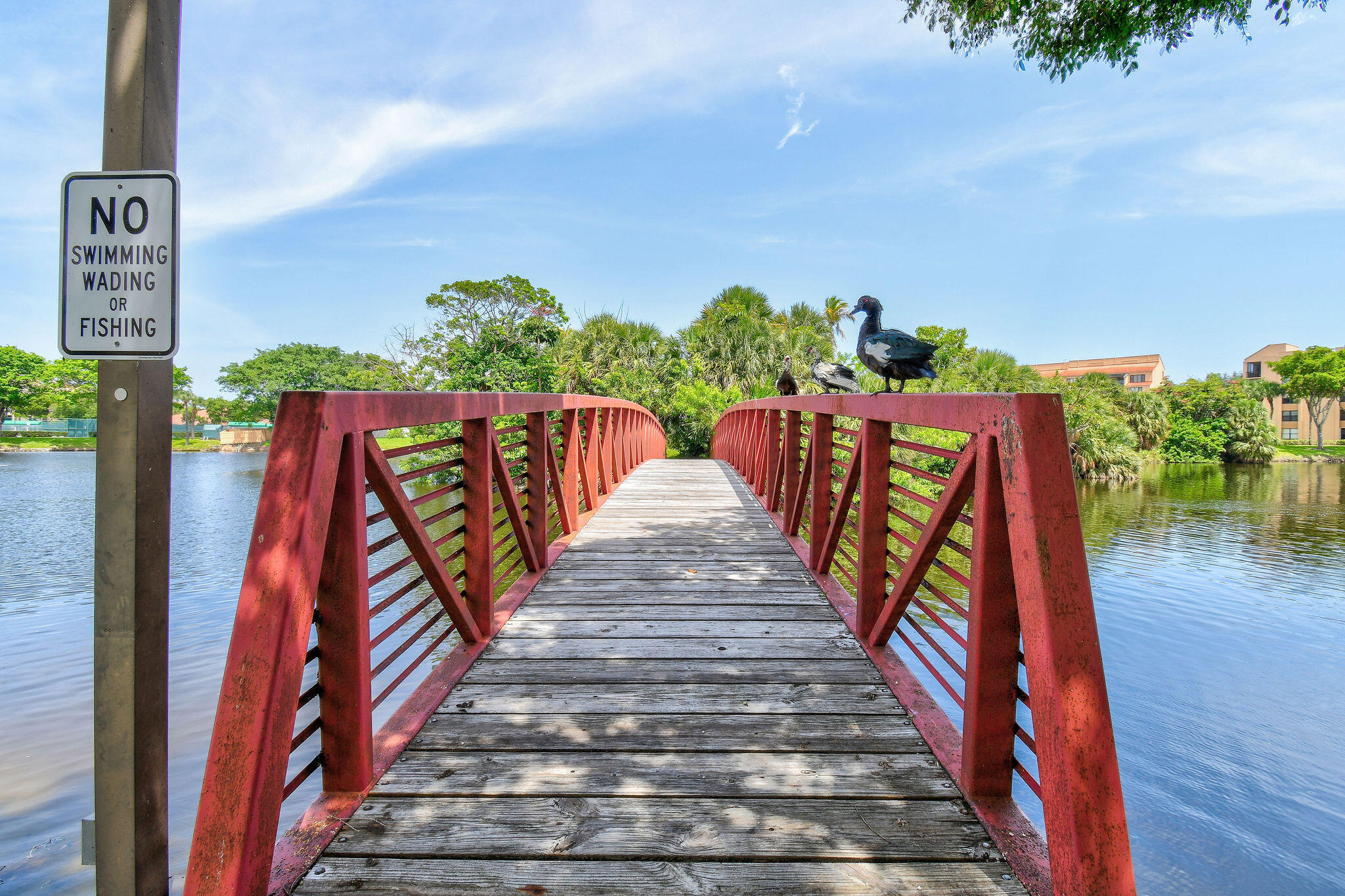 750 Egret Circle 6109