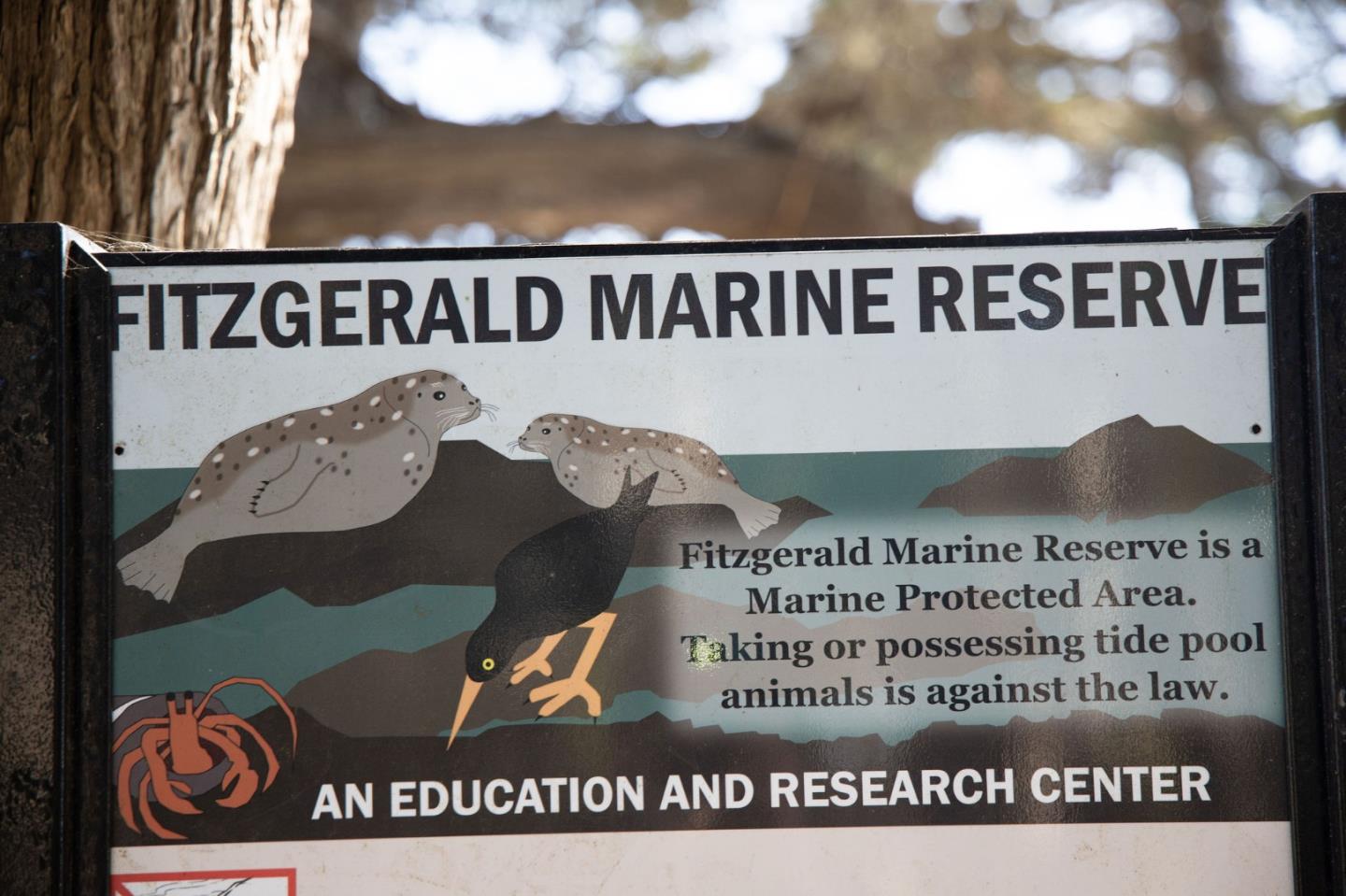 9690 Cabrillo Highway