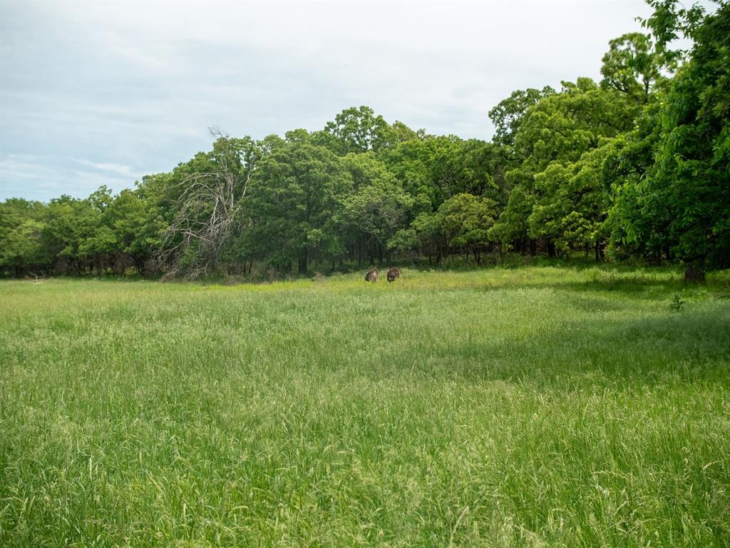 753 Acres - Prime Development/Ranch Land