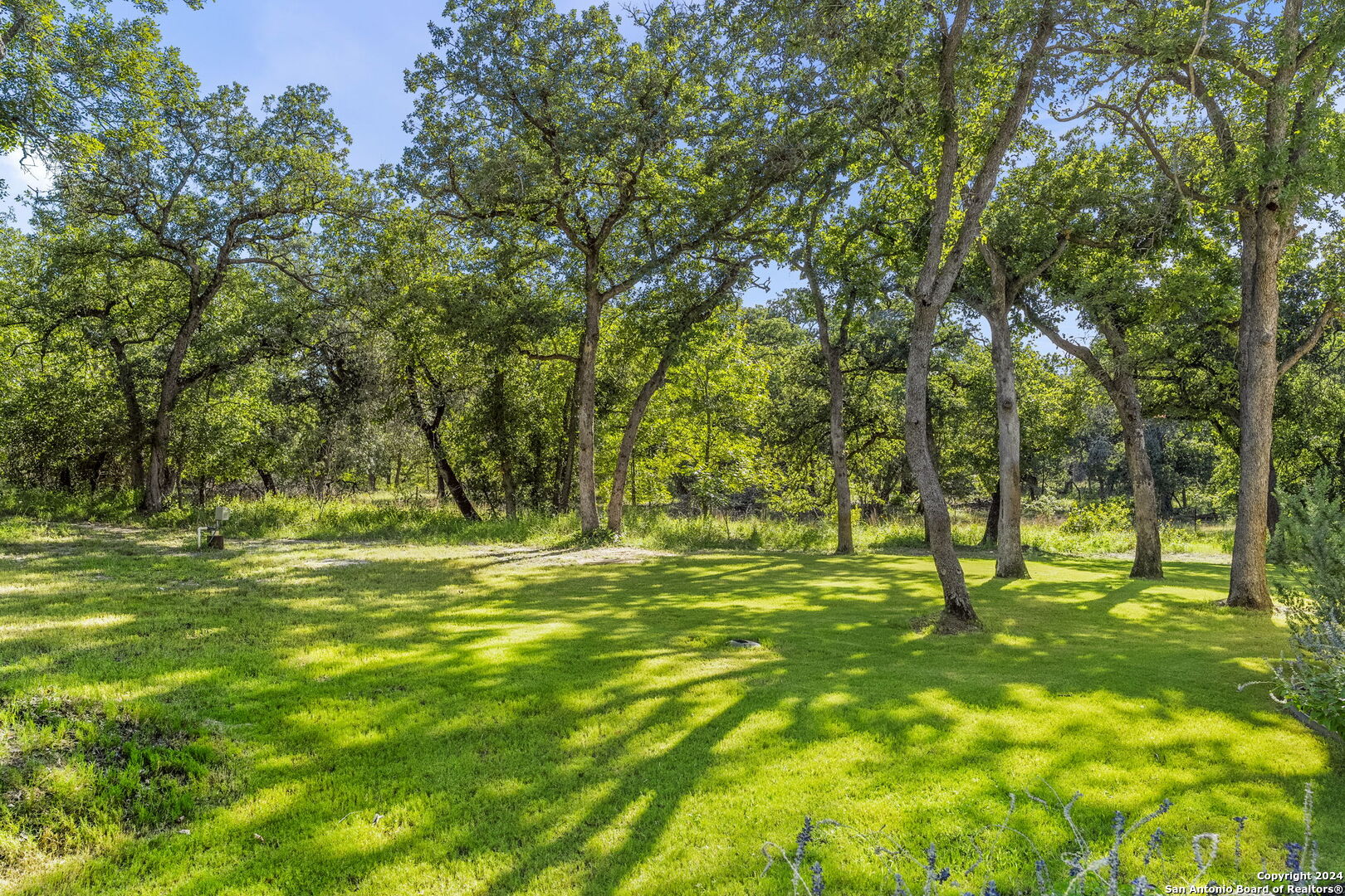 153 Chisum Trail