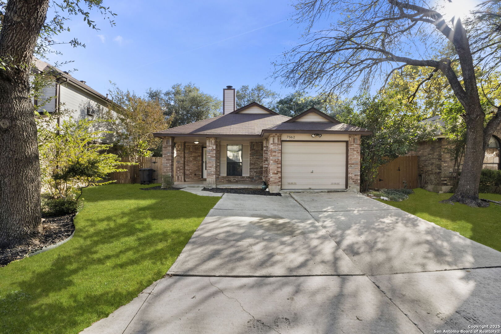 7562 Beaver Tree