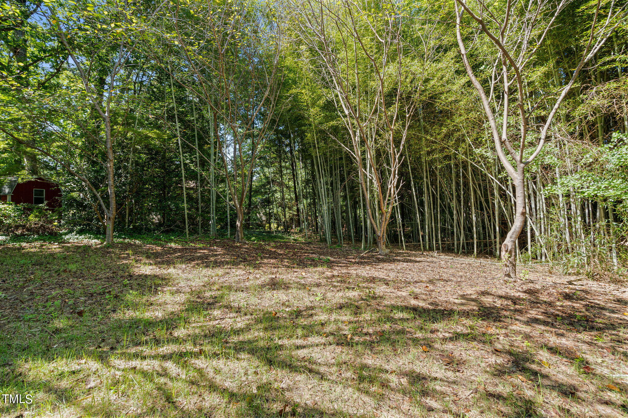 905 Lake Forest Drive