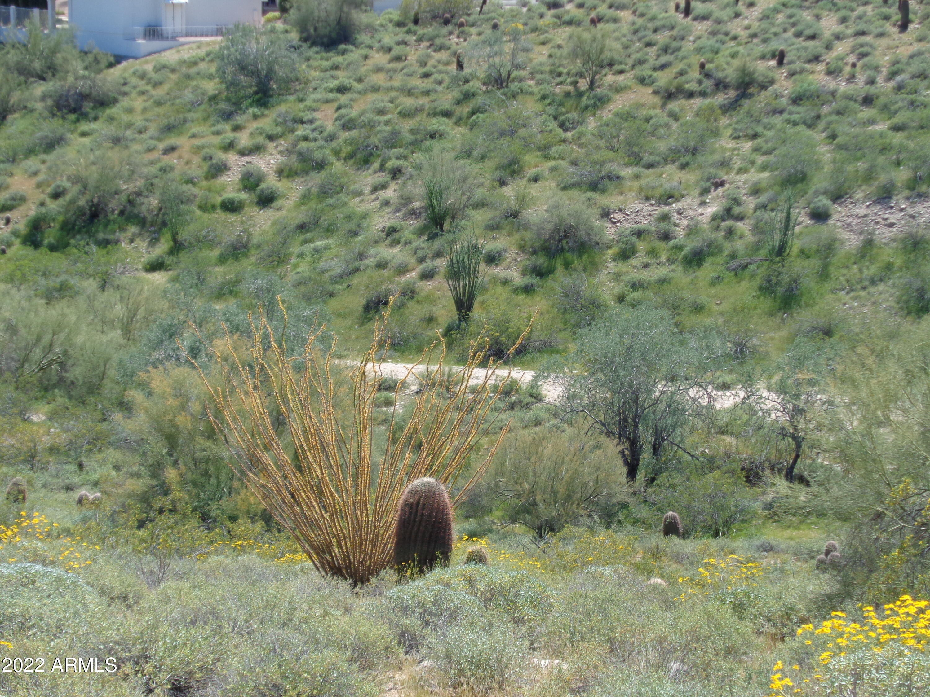 16219 E IRONWOOD Drive # 7A