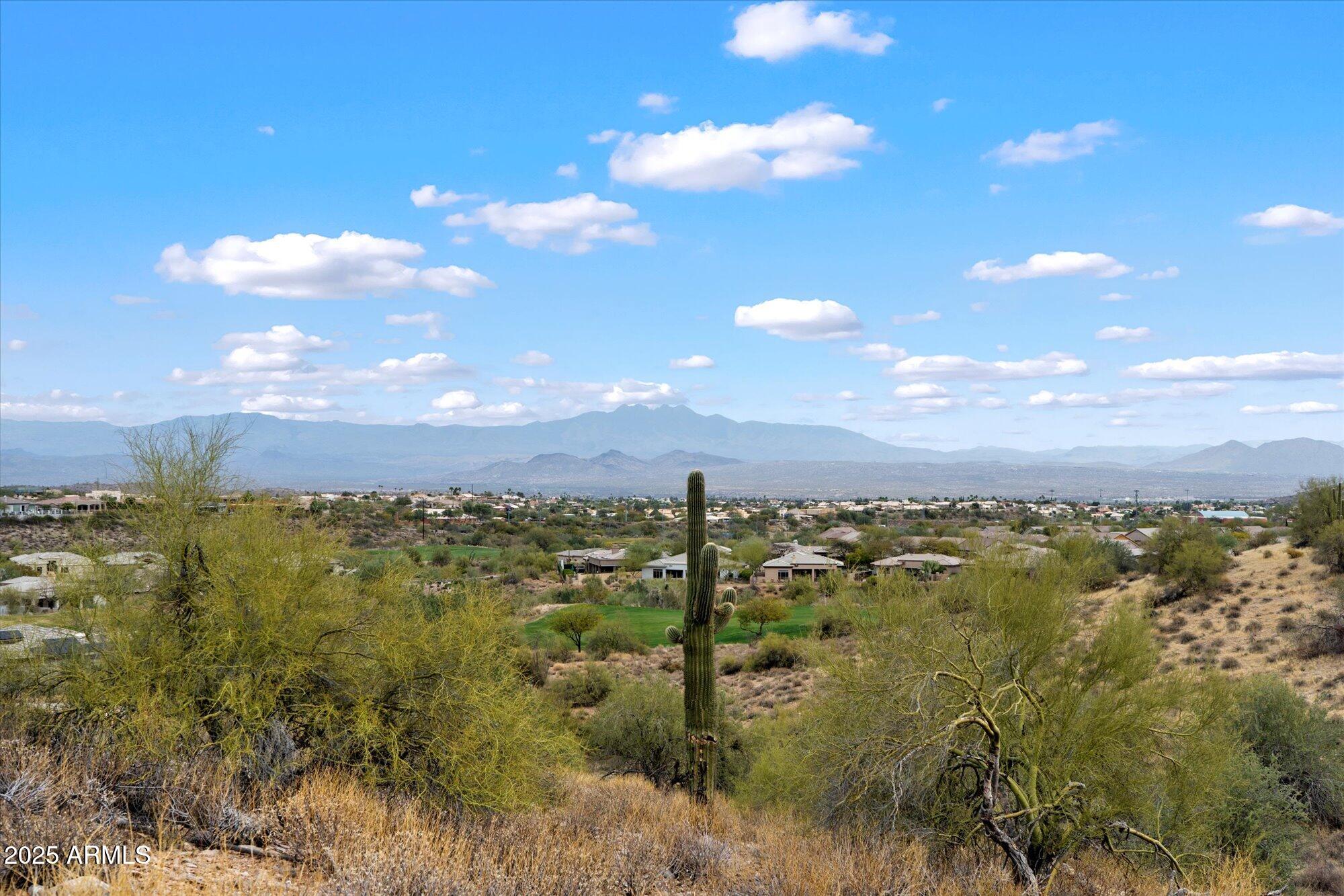 15415 E SUNDOWN Drive 55