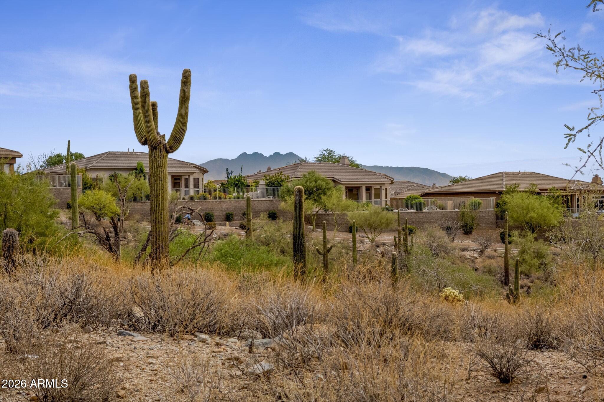 12387 N Cloud Crest Trail 63