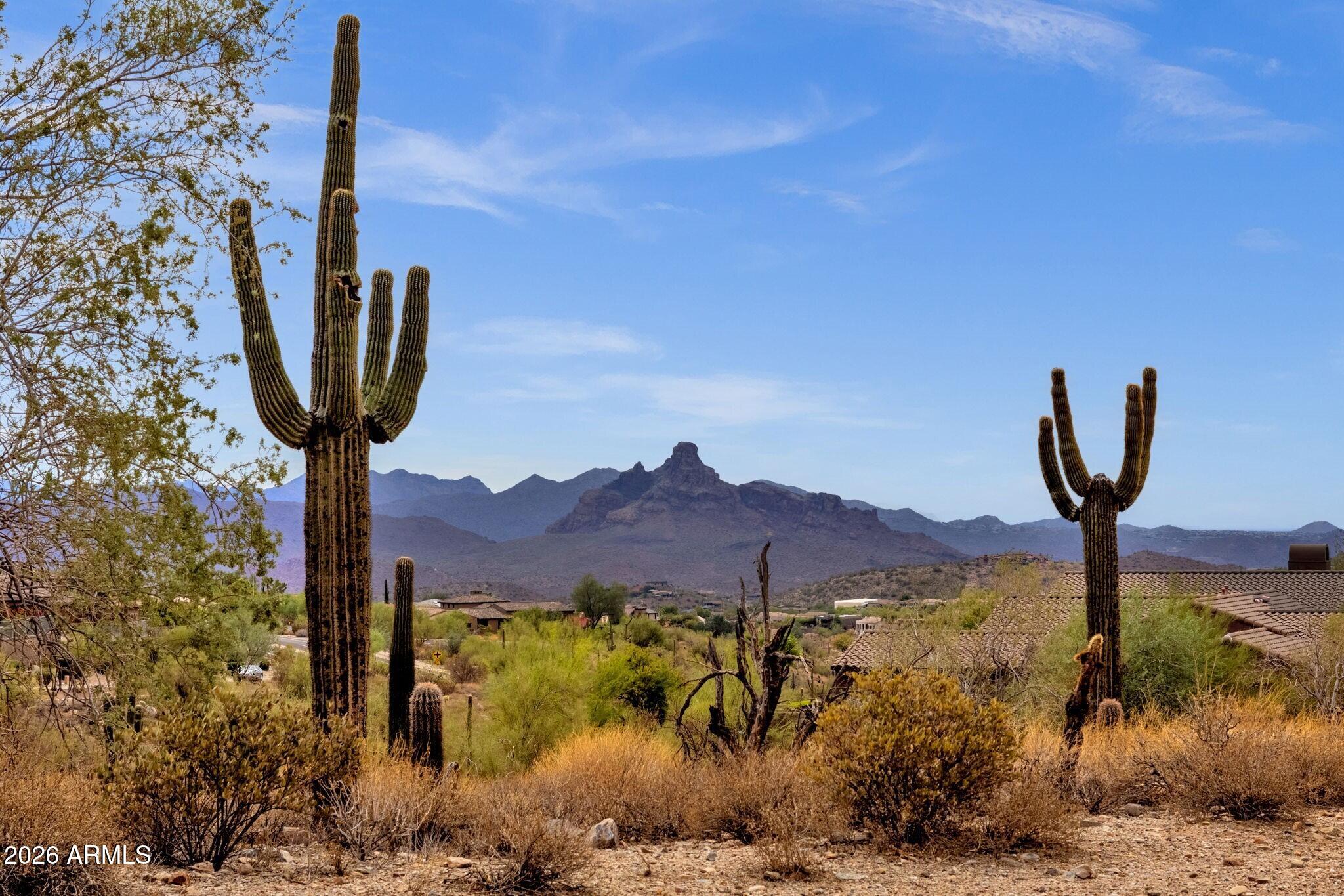 12387 N Cloud Crest Trail 63