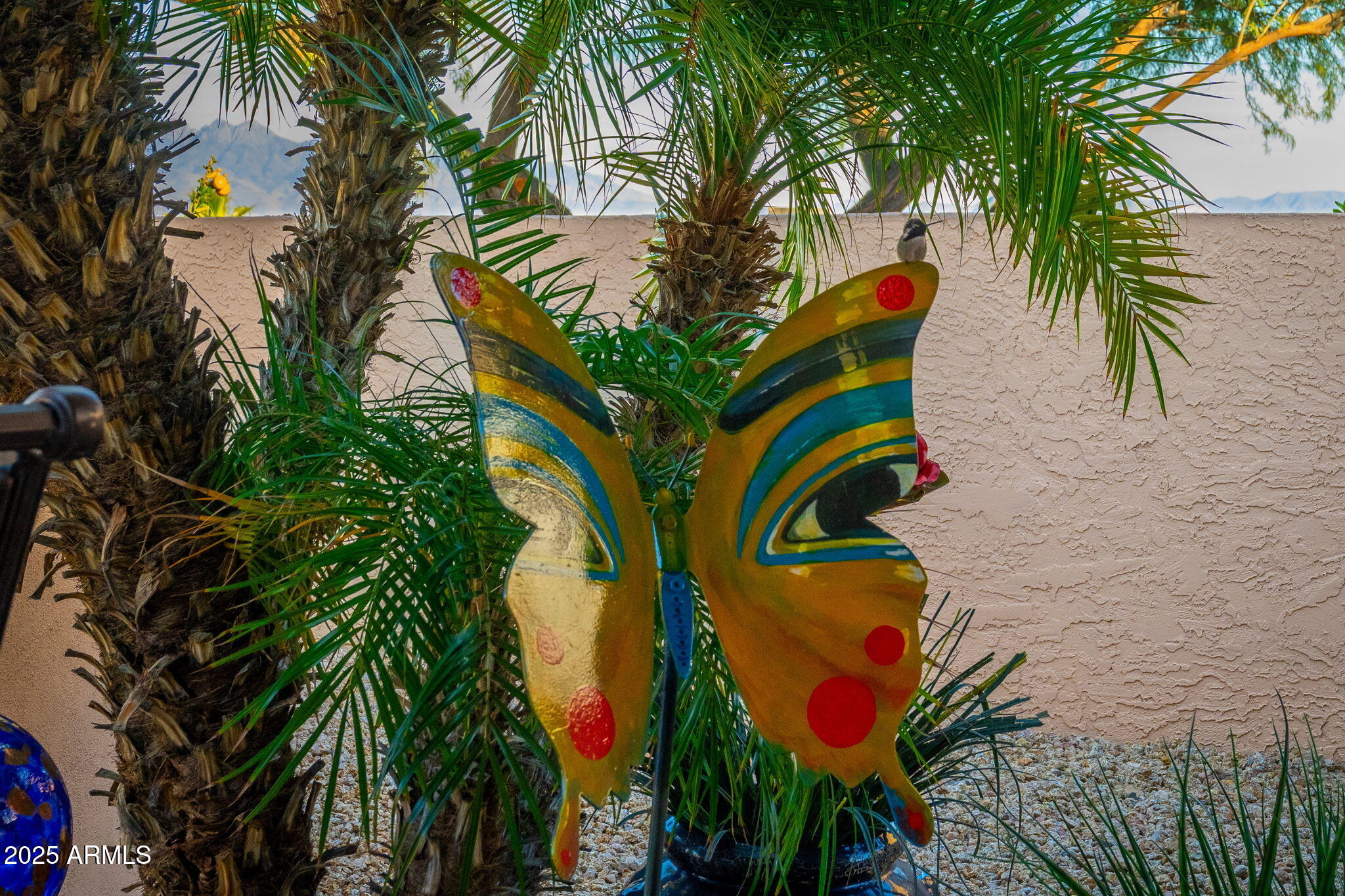 15122 E Palomino Boulevard