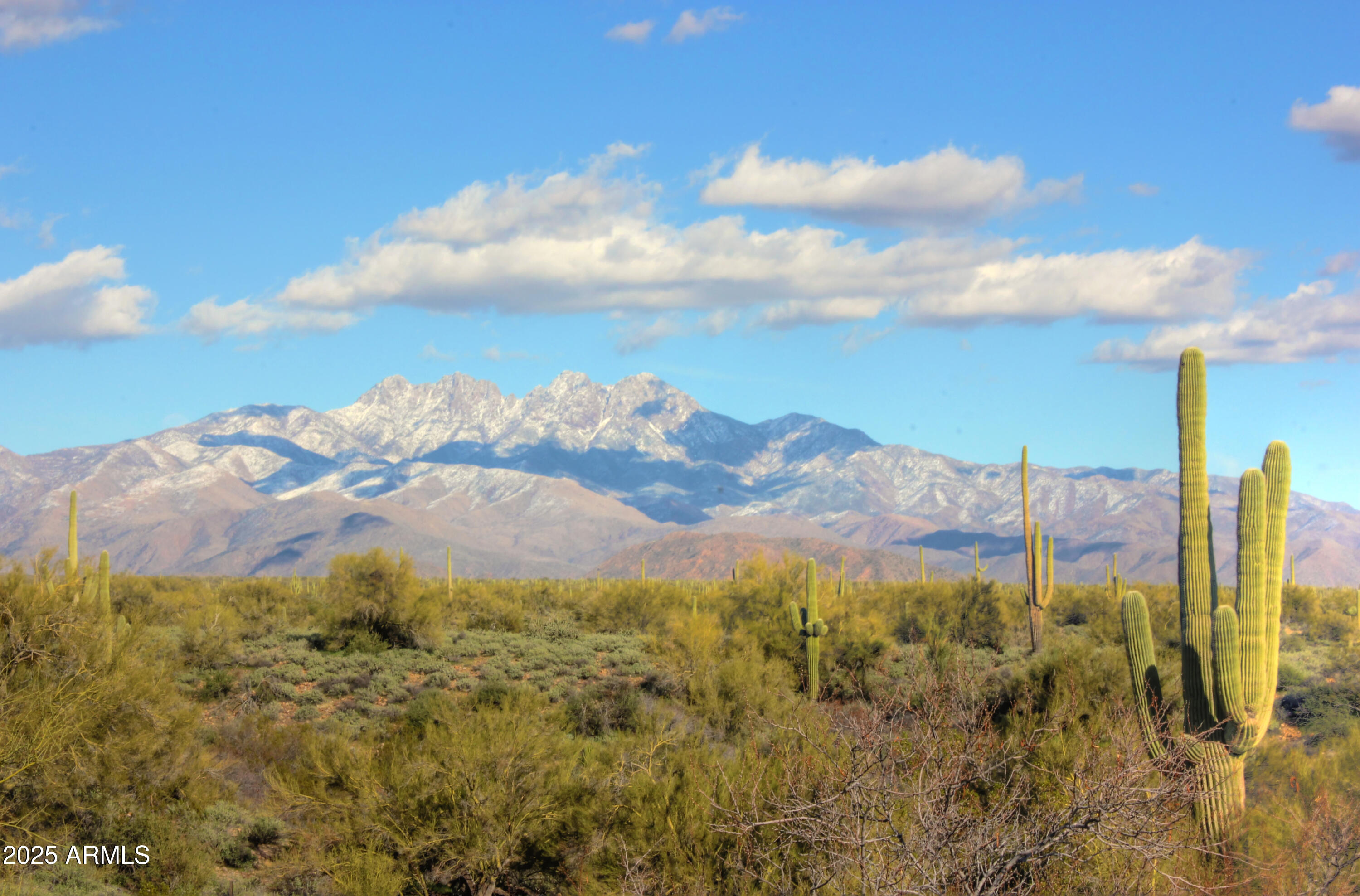13044 N SAGUARO Boulevard 28
