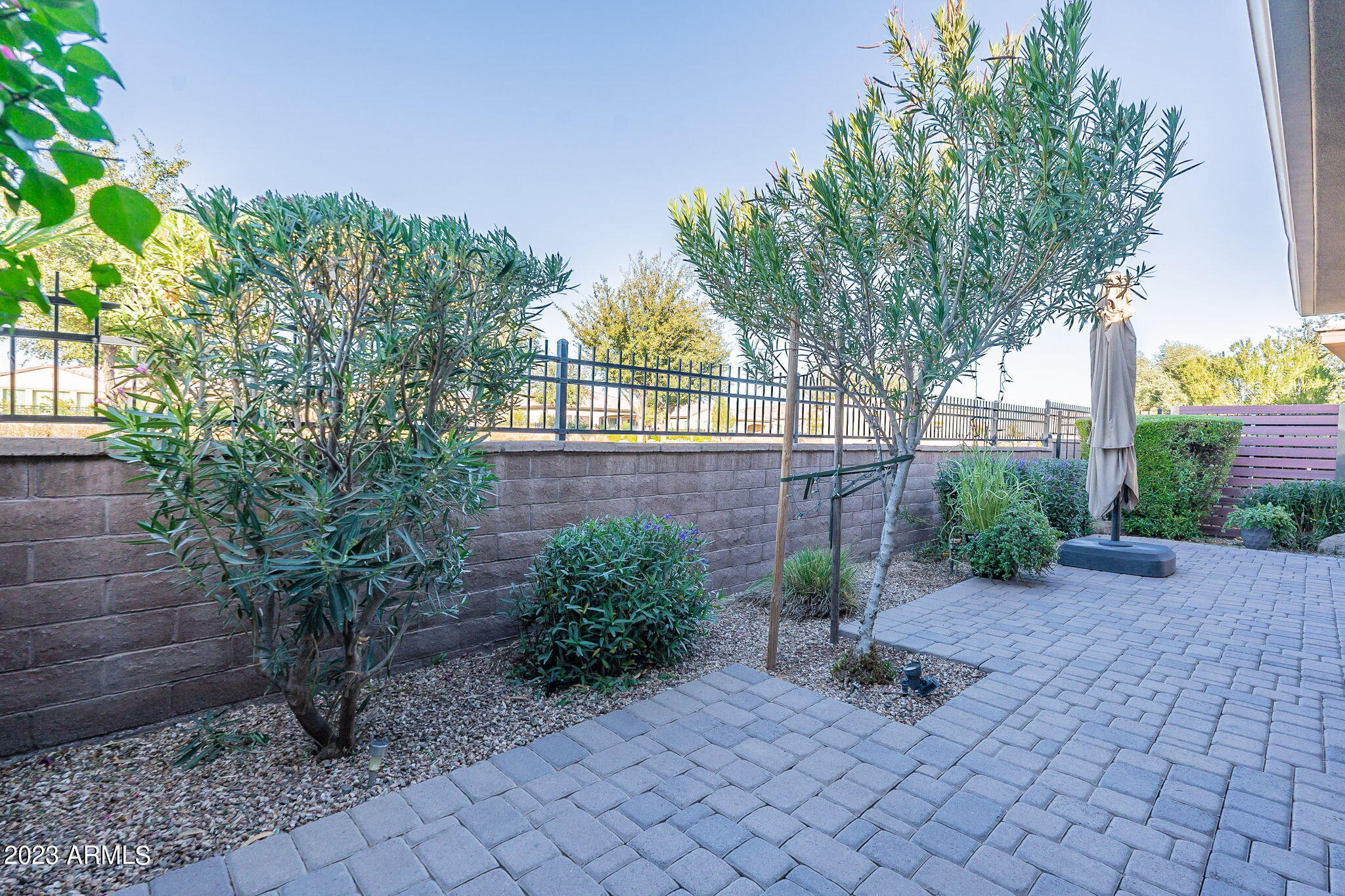 36096 N DESERT TEA Drive