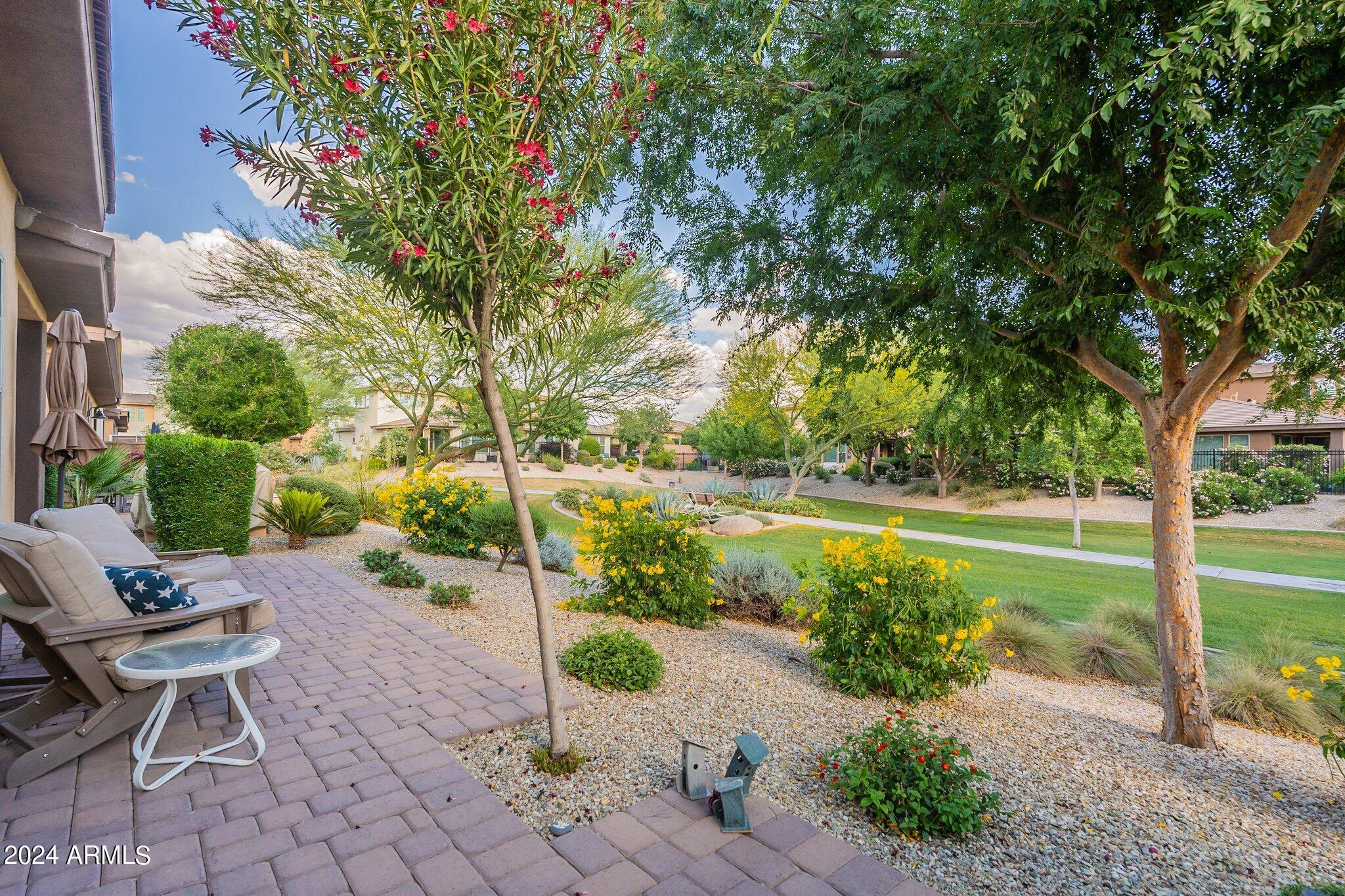 36259 N DESERT TEA Drive