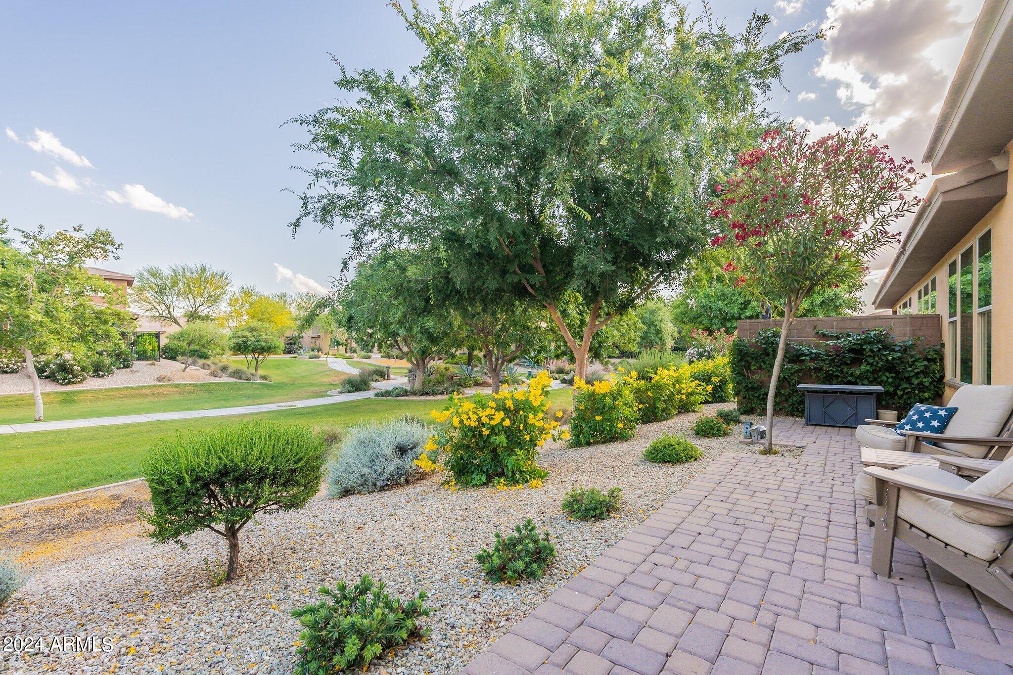 36259 N DESERT TEA Drive