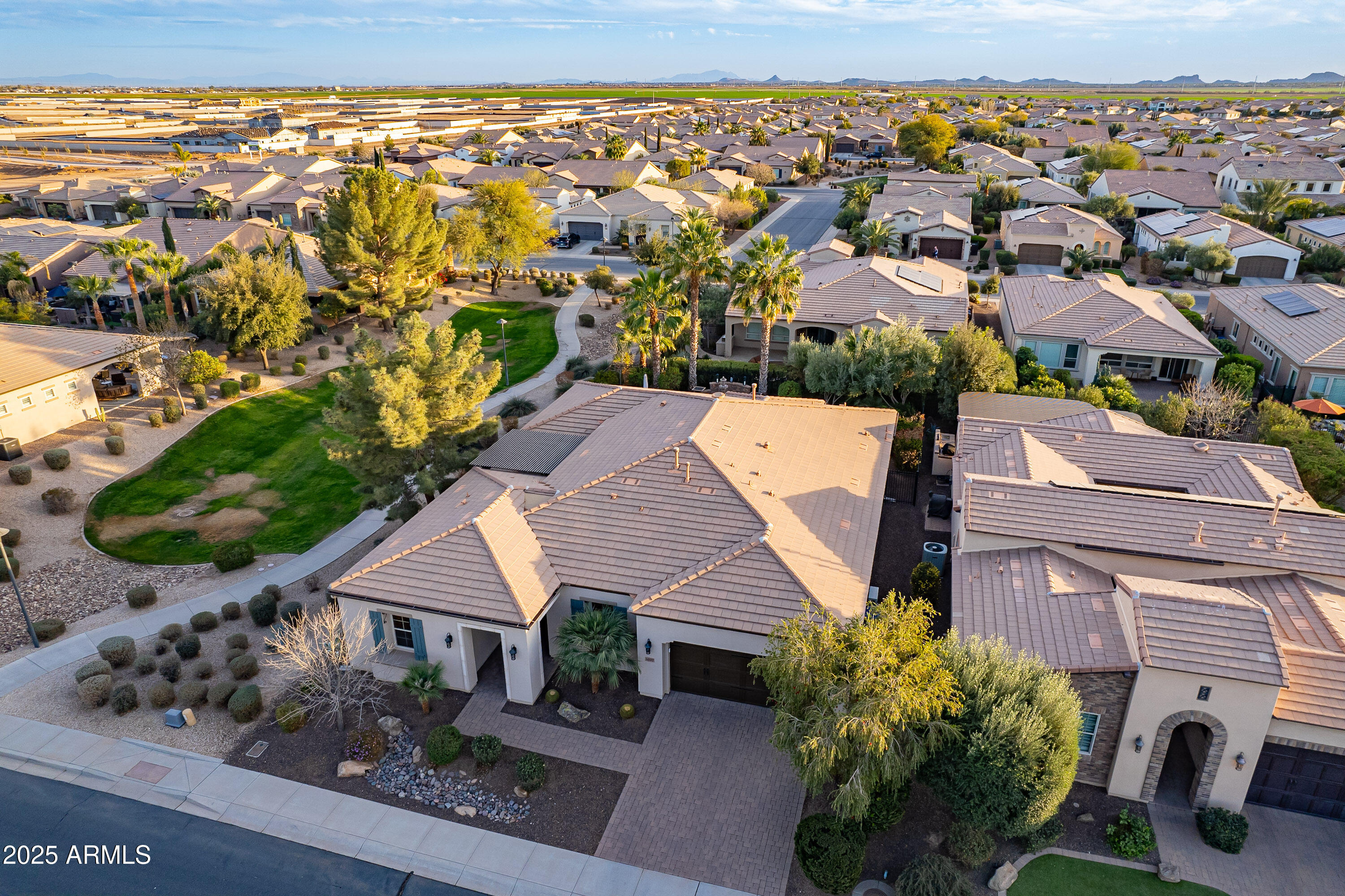 1697 E TANGELO Place