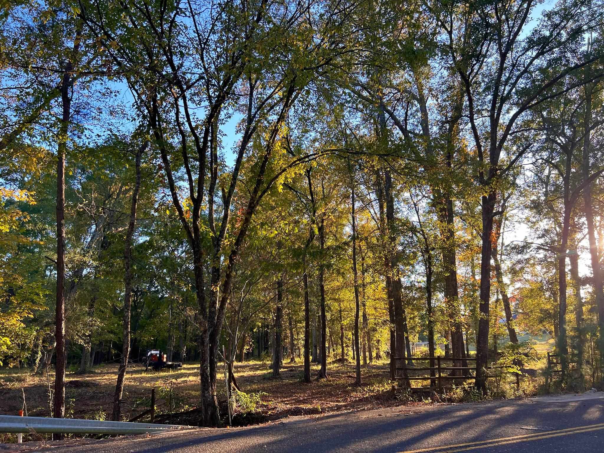 TBD Pliler Precise Road