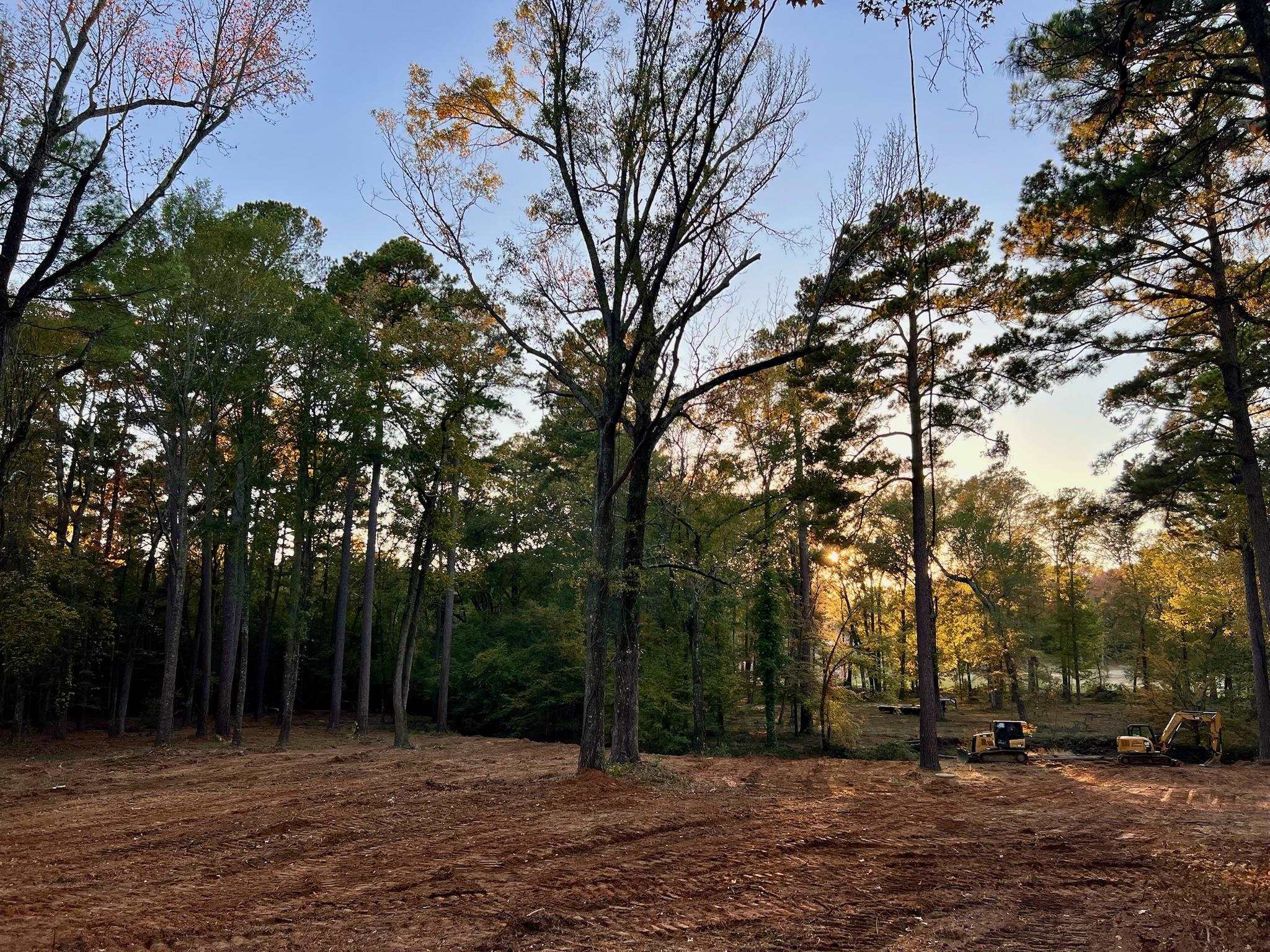 TBD Pliler Precise Road