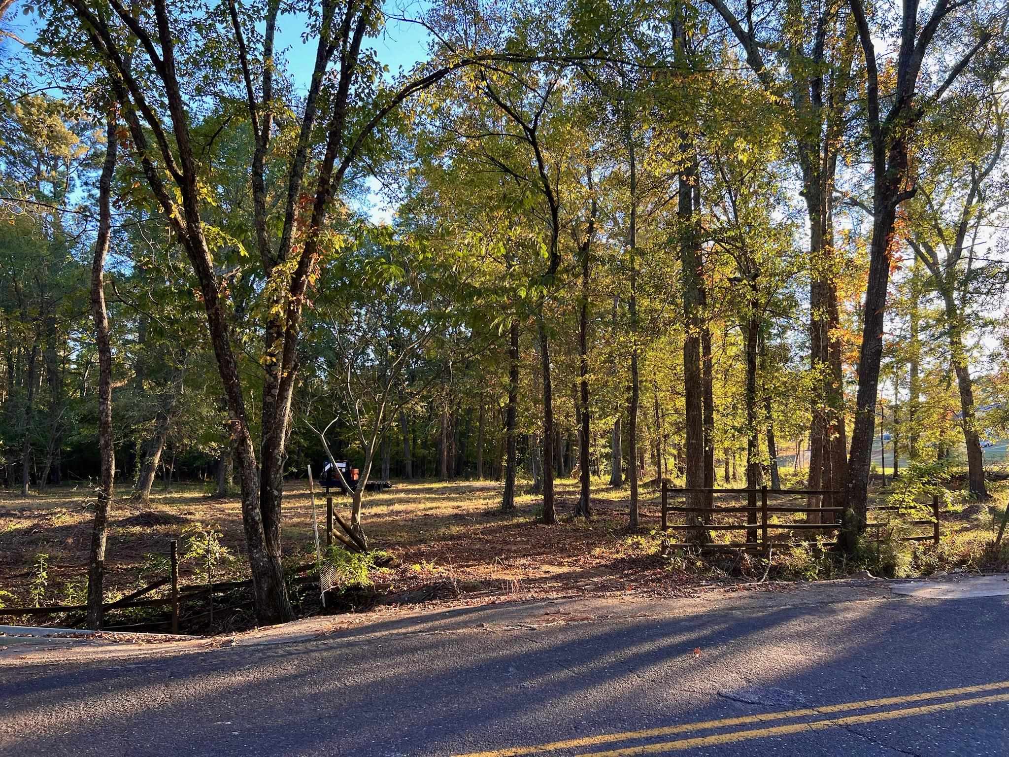 TBD Pliler Precise Road