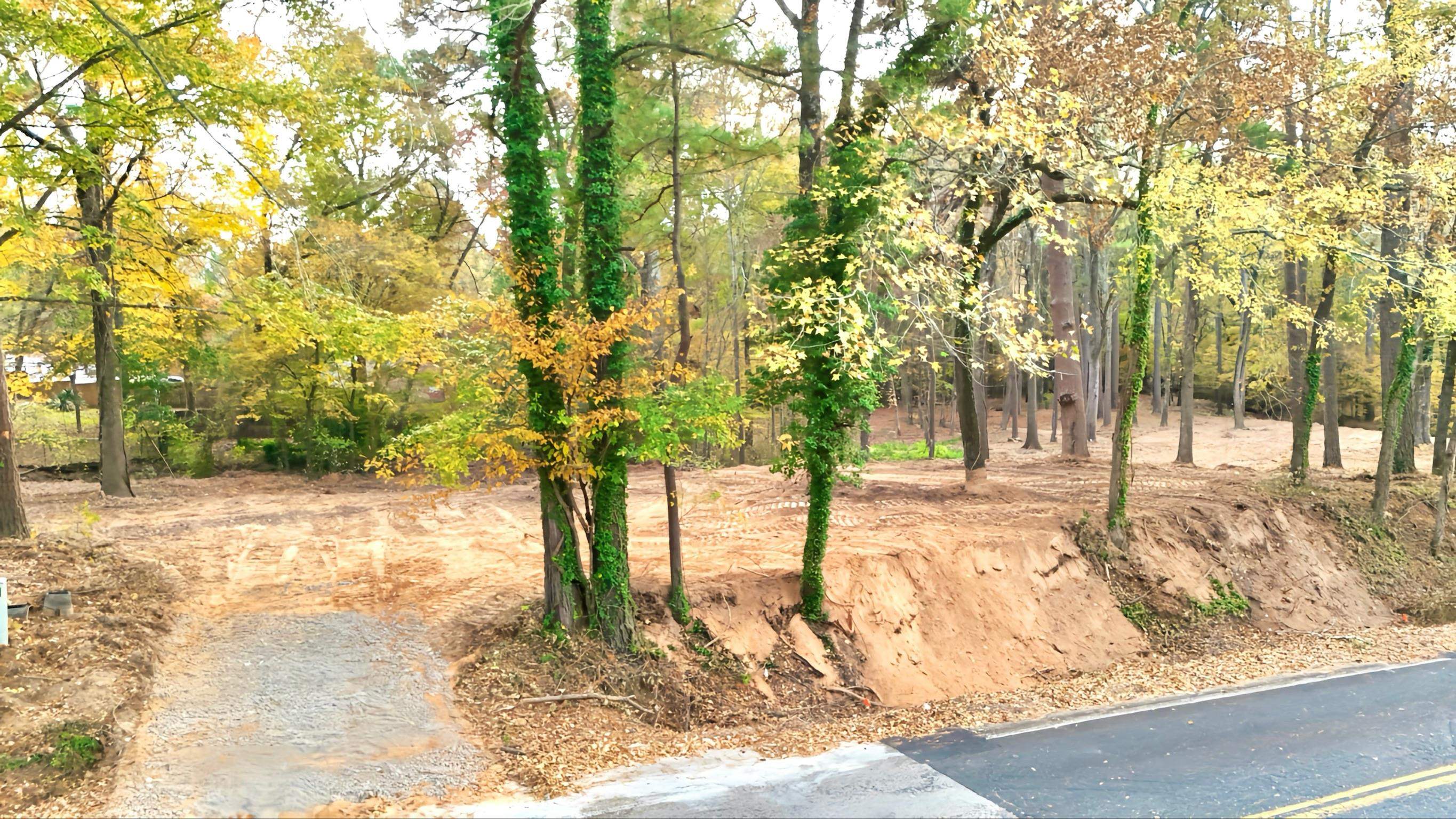 TBD Pliler Precise Road