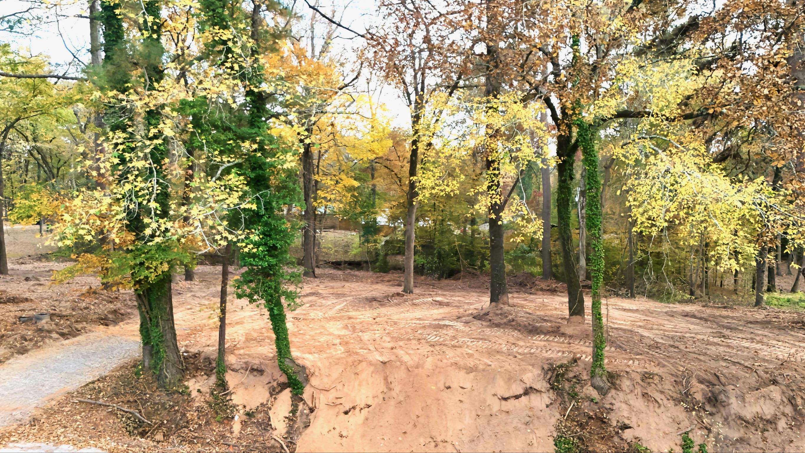 TBD Pliler Precise Road